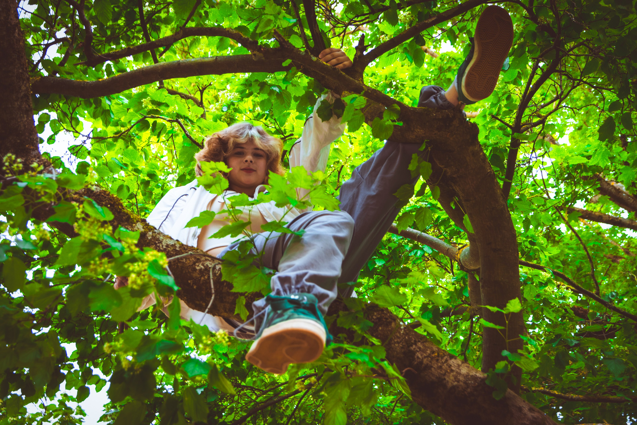 Lahe graatsia (Sonja). Nebula 25 — Fotod teie hingele