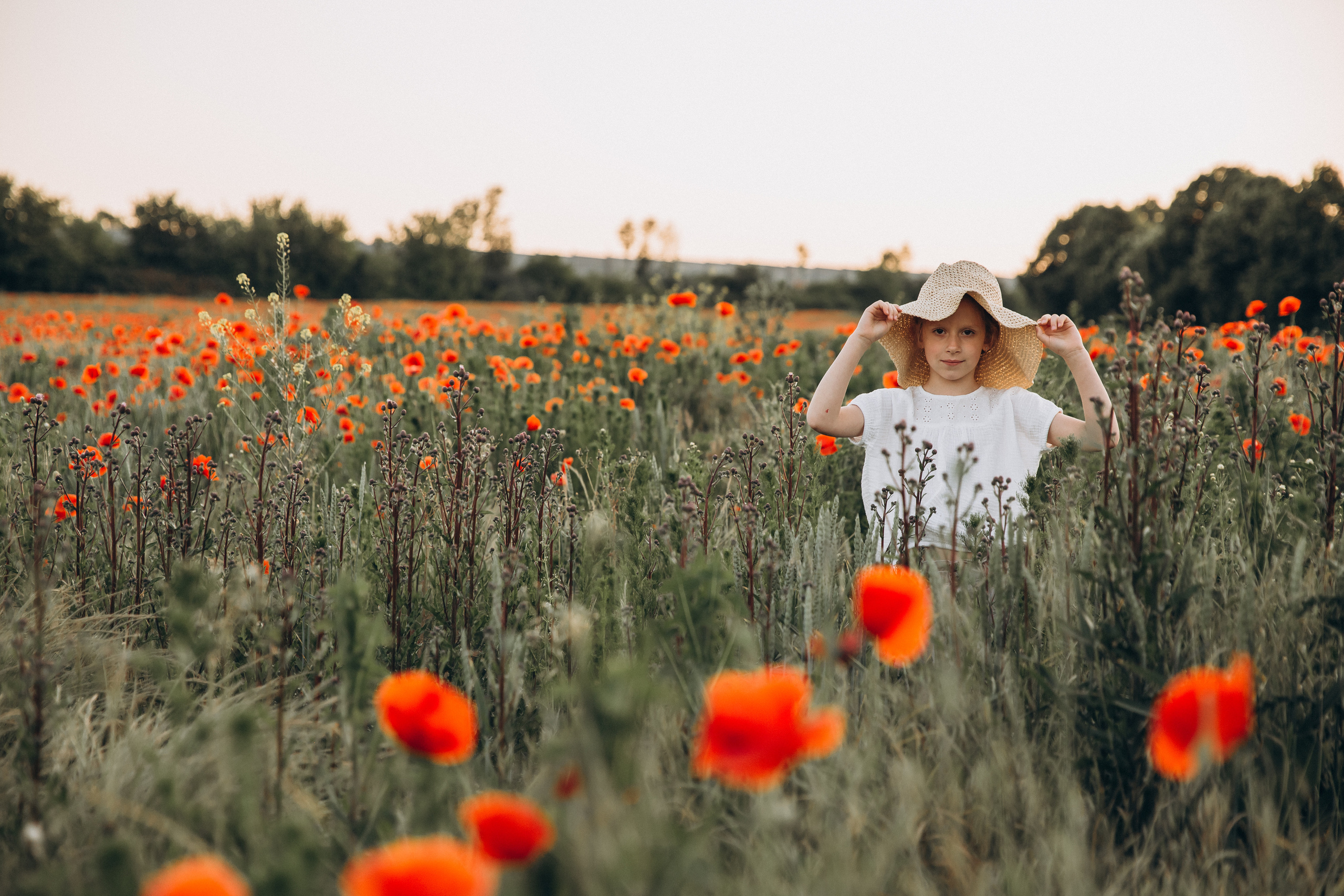 Poppy field. Family Photographer in Prague Nigina Fattakh