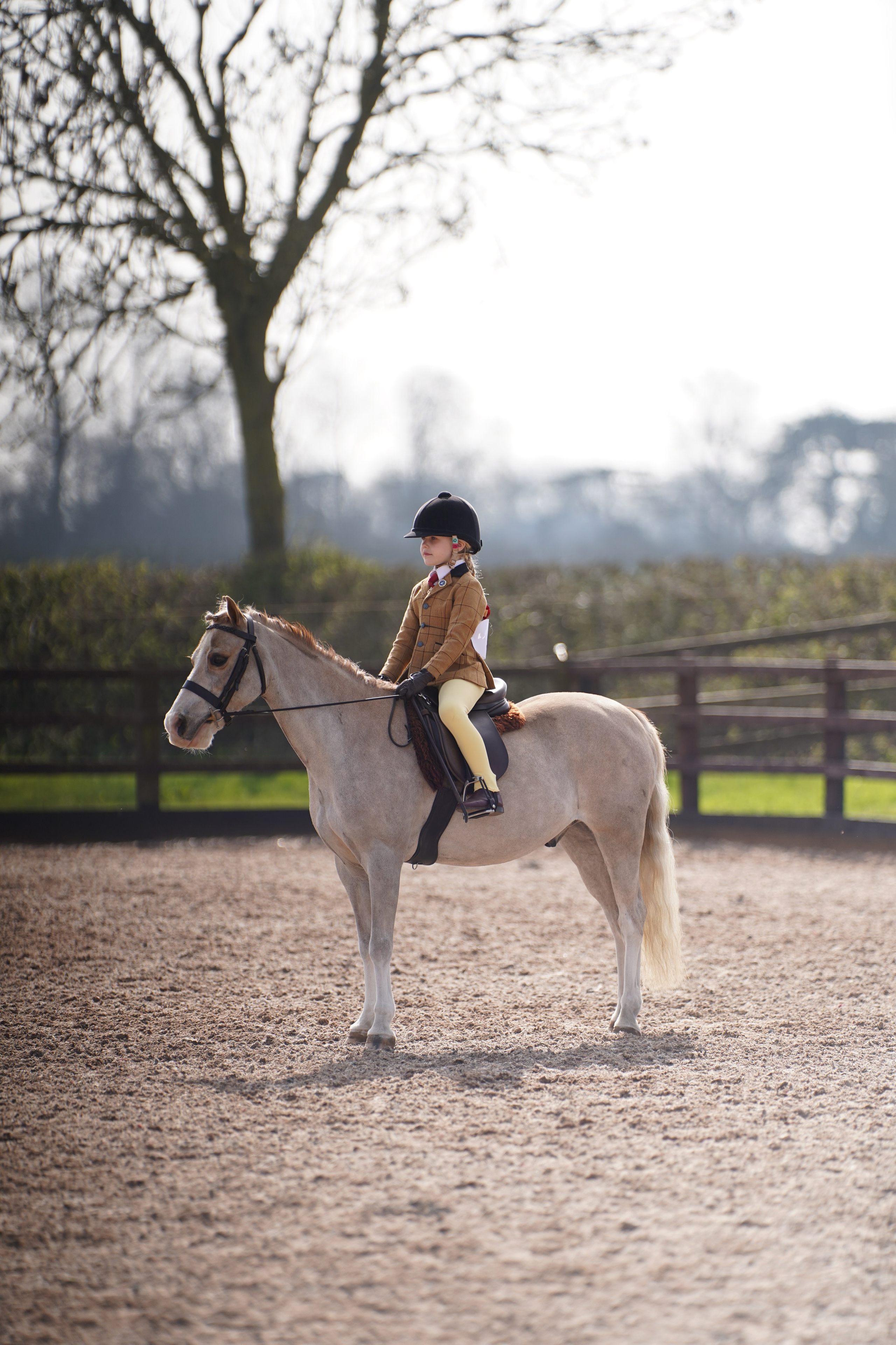 Showing. Leicestershire Equine Photography by El | Authentic Equine Portraits & Events