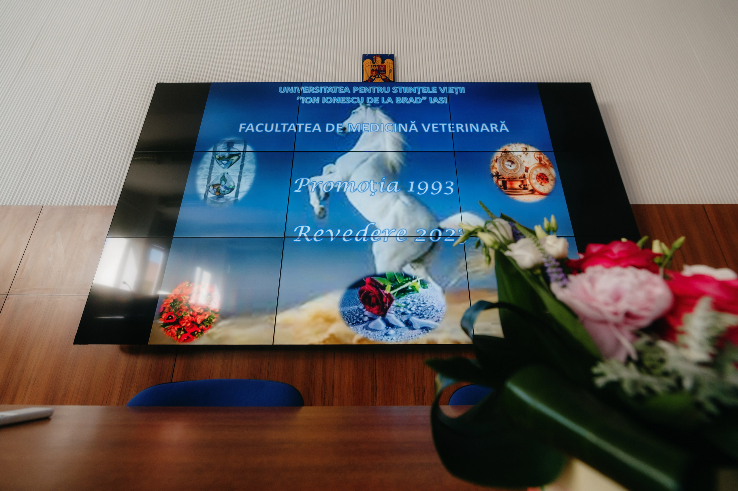 Medicina Veterinara — dupa 30 de ani…. Laurentiu Stefan StoryTeller