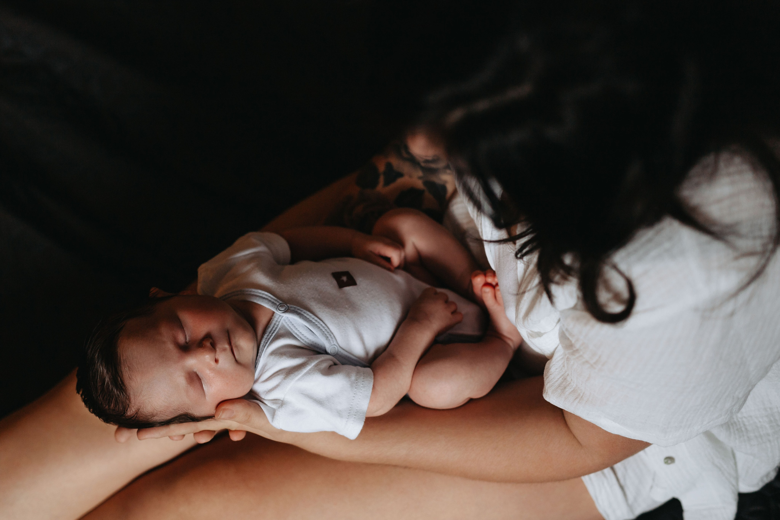 Pierwsza sesja Franka