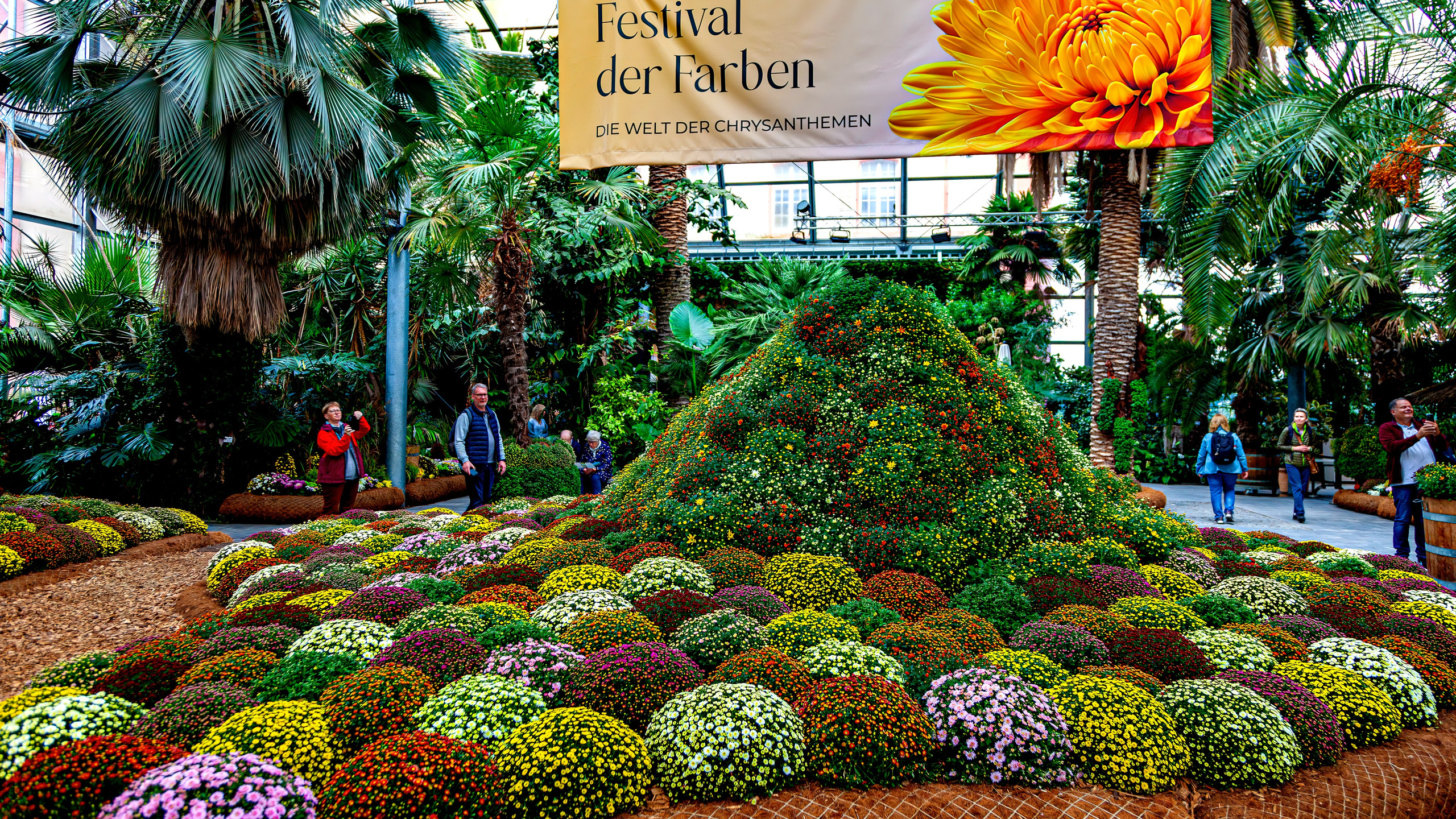 187.Mainau.Germany.24.9.2024. Путешествия в формате 360......
