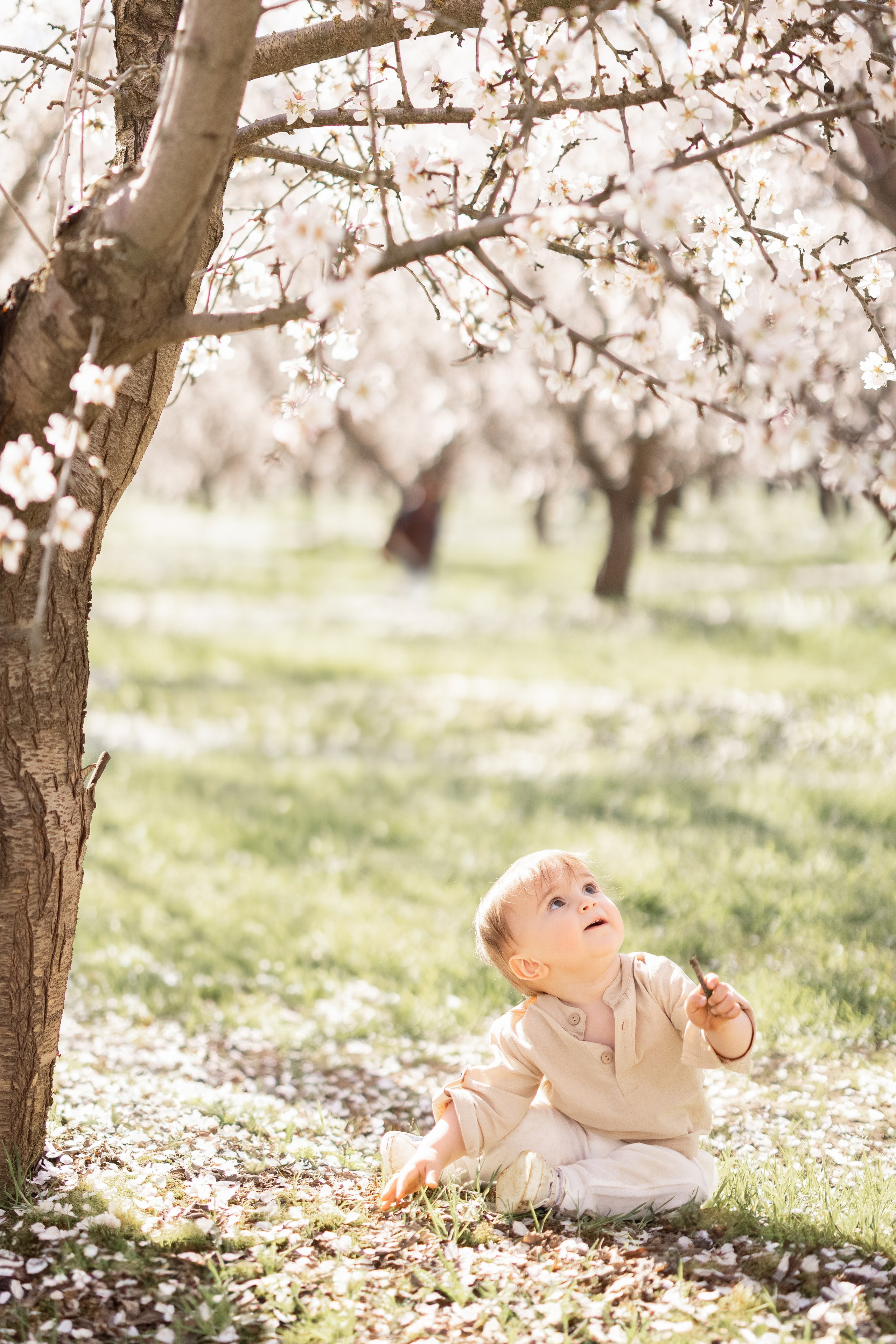 Portfolio. Levantera Photo San Francisco Bay Area Photographer Natalia