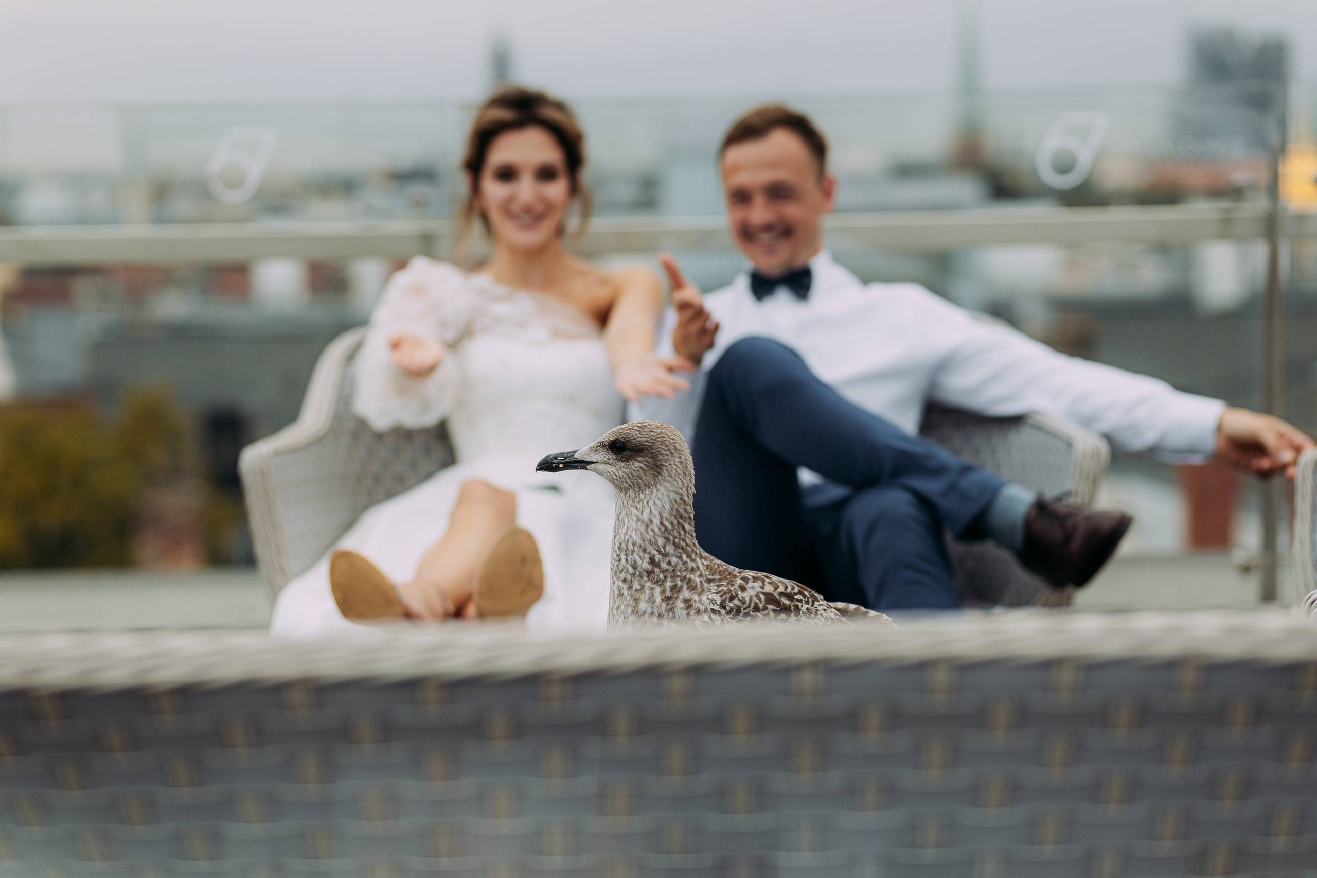 KĀZAS RĪGĀ / HERBĀRIJS