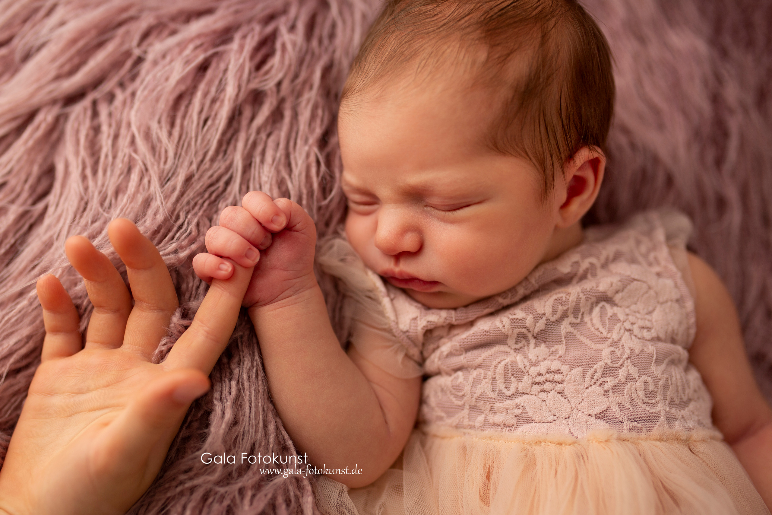 Neugeborene. Neugeborenen, Familien, Geschwister Fotografin aus Delmenhorst