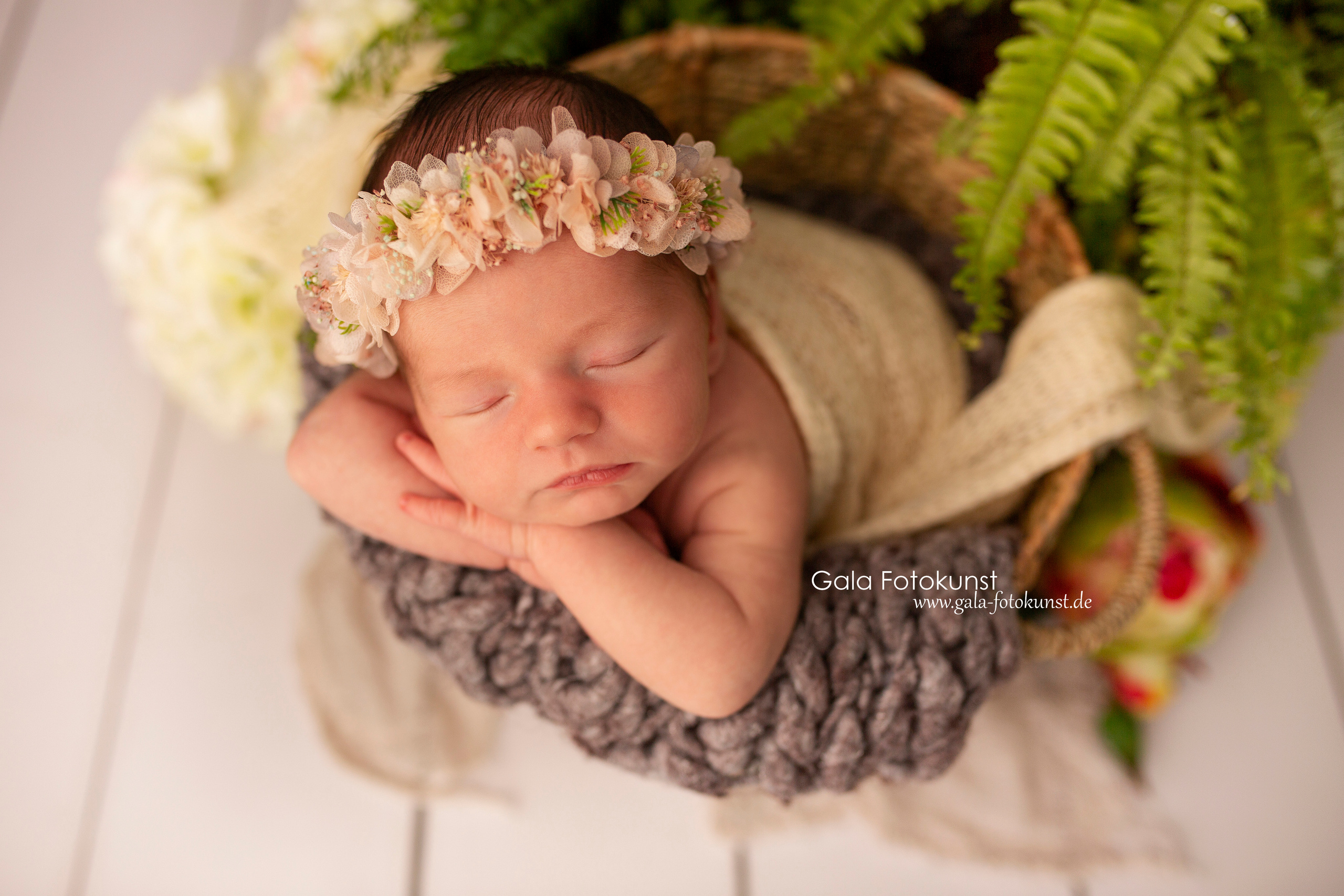 Neugeborene. Neugeborenen, Familien, Geschwister Fotografin aus Delmenhorst