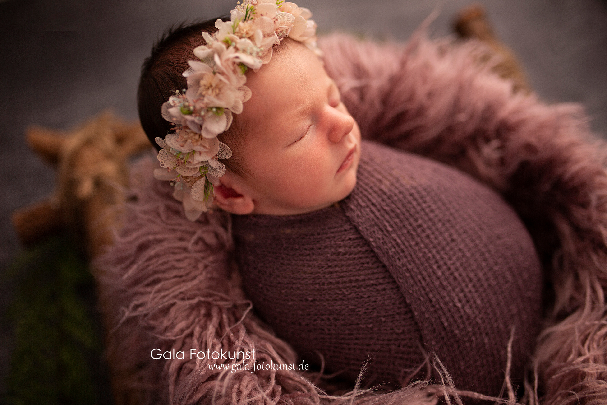 Neugeborene. Neugeborenen, Familien, Geschwister Fotografin aus Delmenhorst