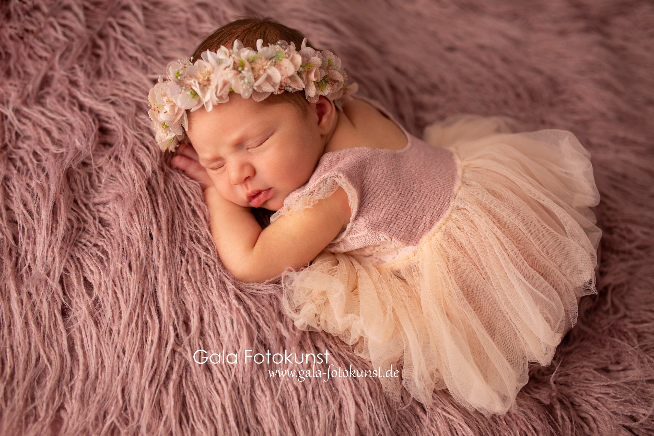 Neugeborene. Neugeborenen, Familien, Geschwister Fotografin aus Delmenhorst