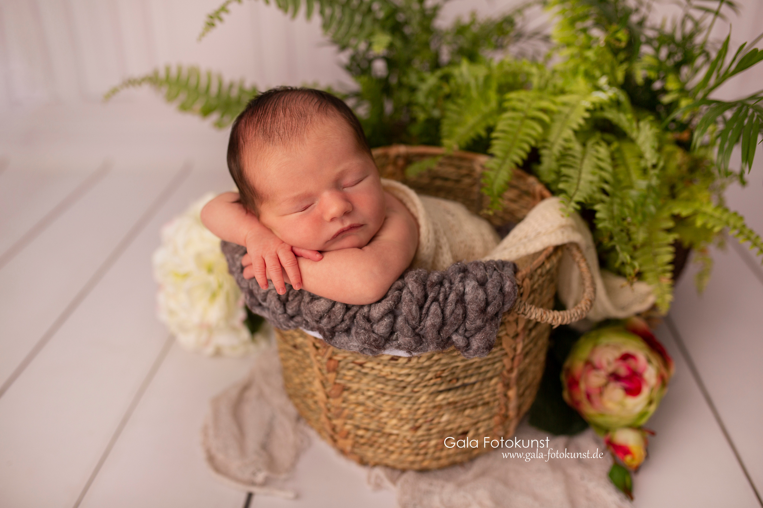 Neugeborene. Neugeborenen, Familien, Geschwister Fotografin aus Delmenhorst
