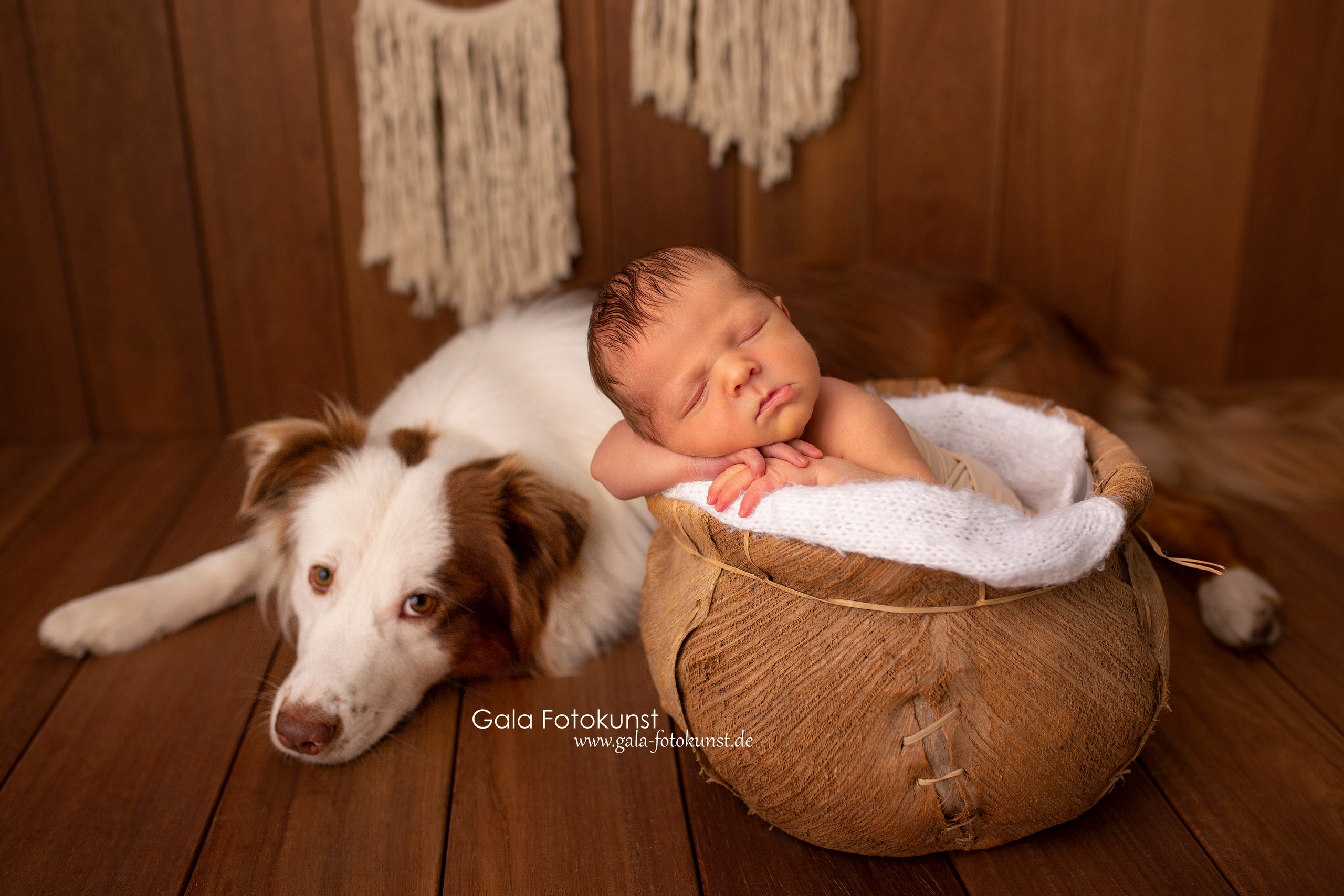 Neugeborene. Neugeborenen, Familien, Geschwister Fotografin aus Delmenhorst