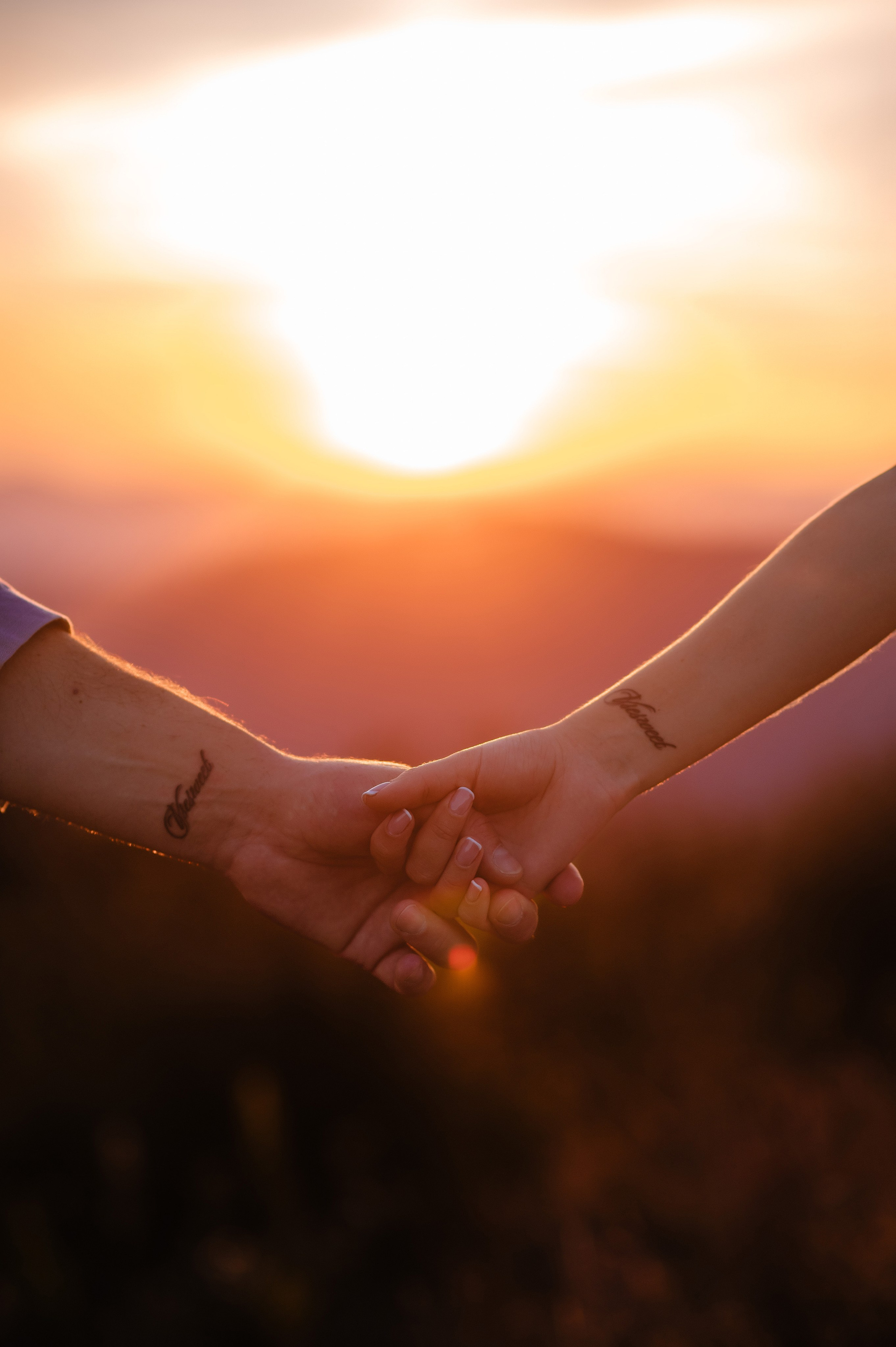 Анонс. Сергій & Каріна. Синевір. Весільний та портретний фотограф Кизим Арсен