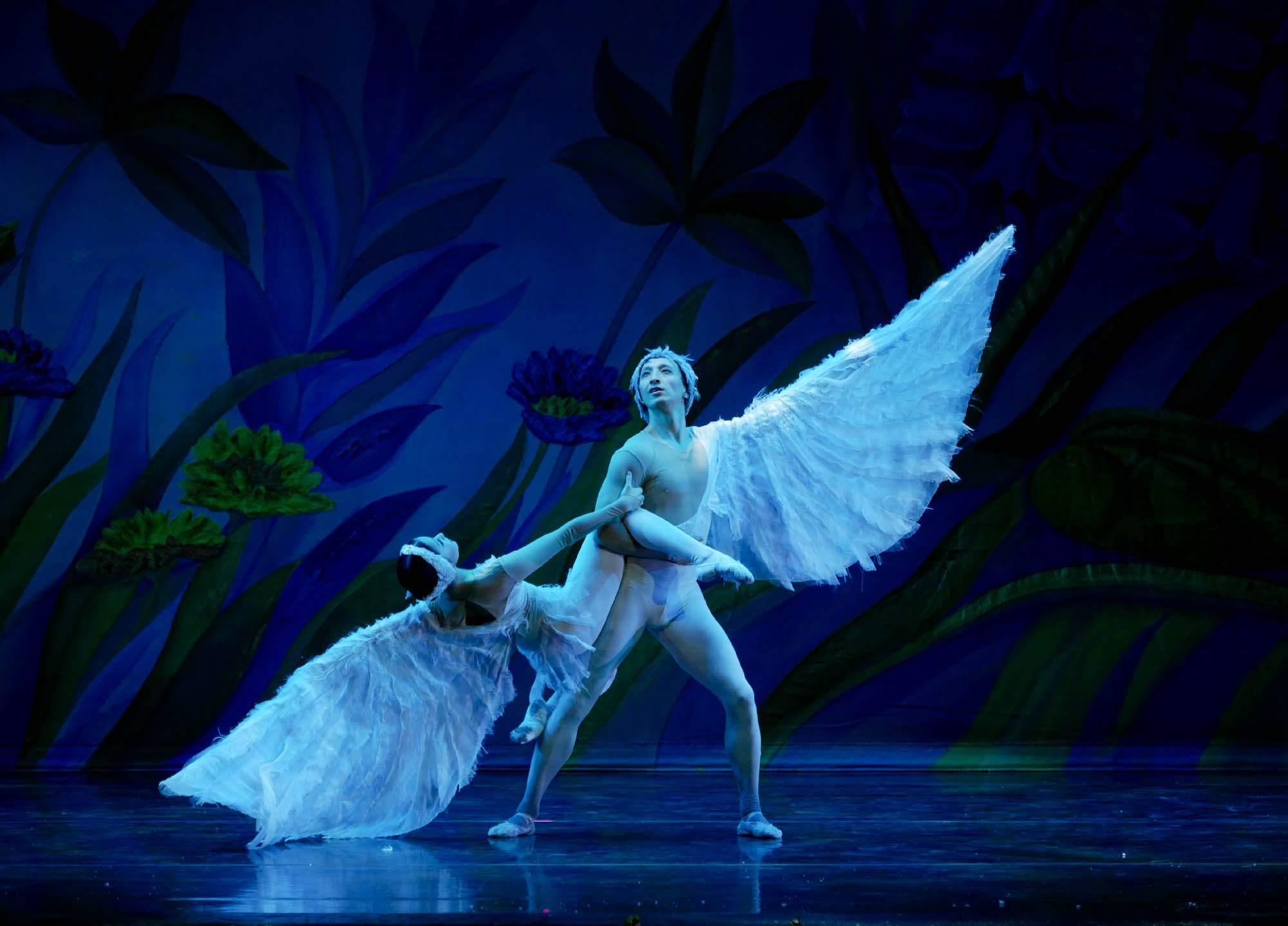 BALLETT. Fotograf in Köln, Bonn, Düsseldorf, Krefeld