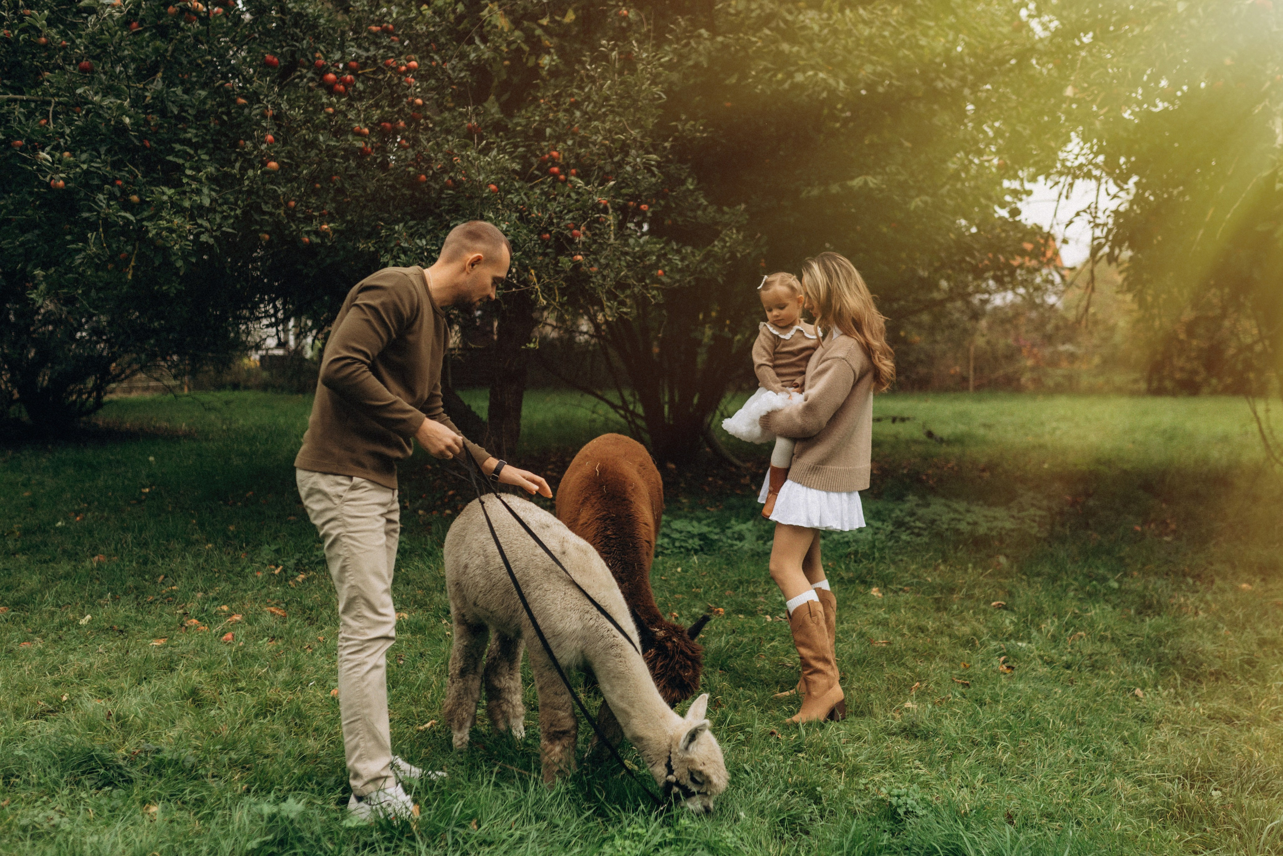 Семейная фотосессия с альпаками. Семейный фотограф Лейпциг, Германия