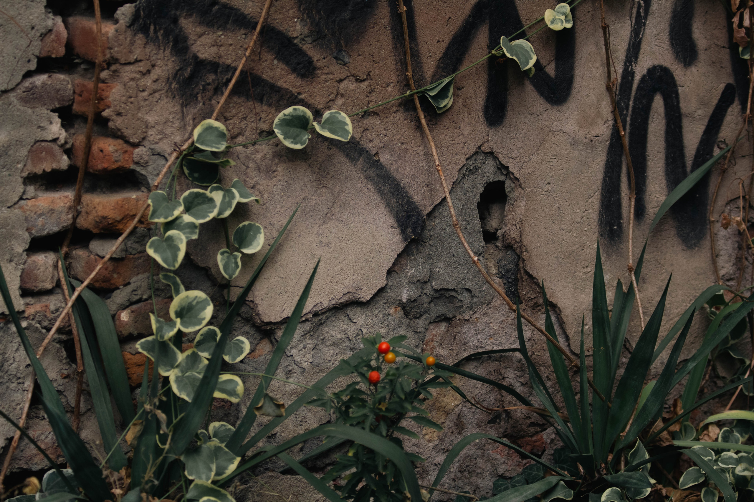 Postcards for Grandma. Stanislava Novgorodtseva — Photographer | Visual Artist | Educator