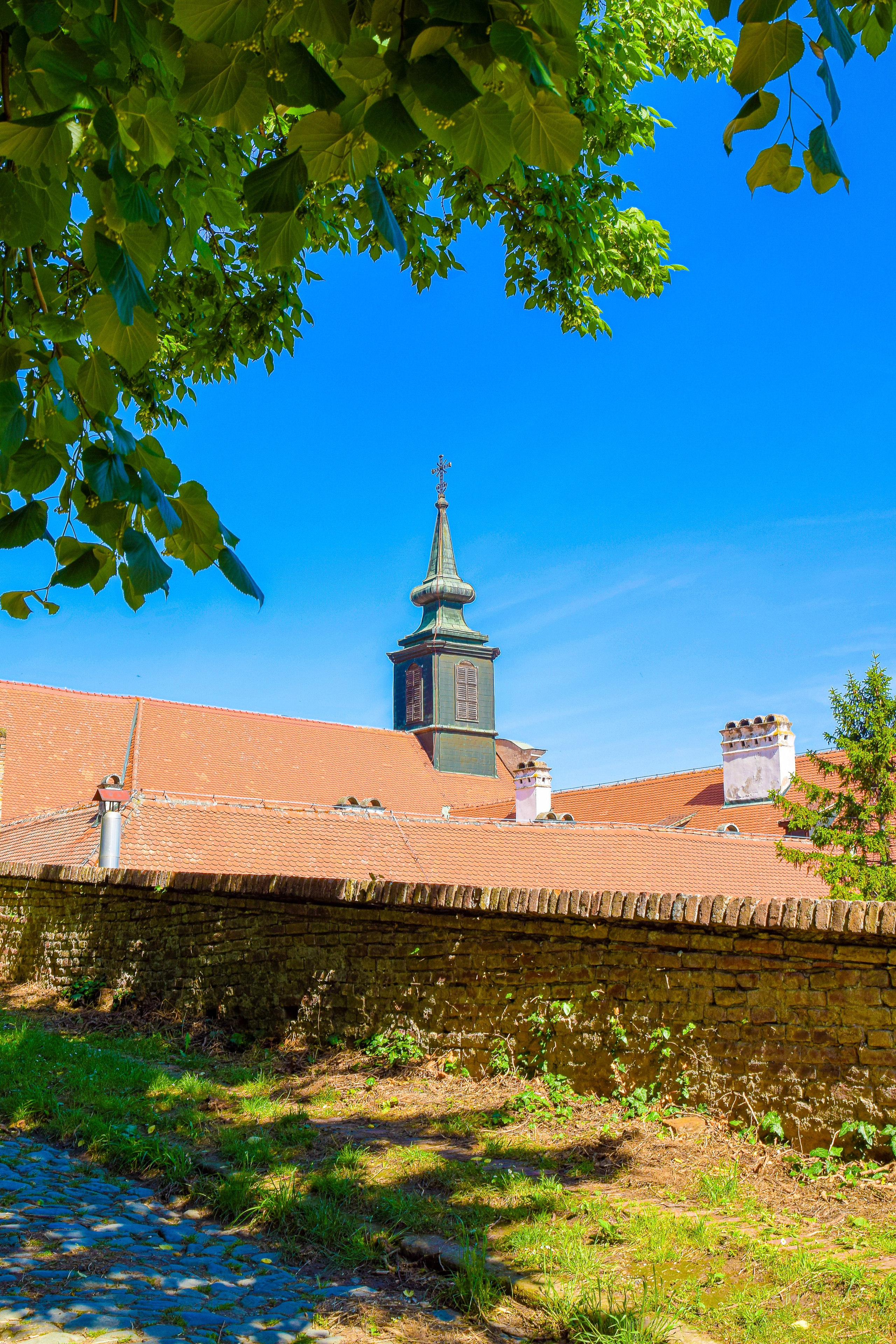 Петроварадин - галерија на продају. Викторија Федосеенко, фотограф у Србији