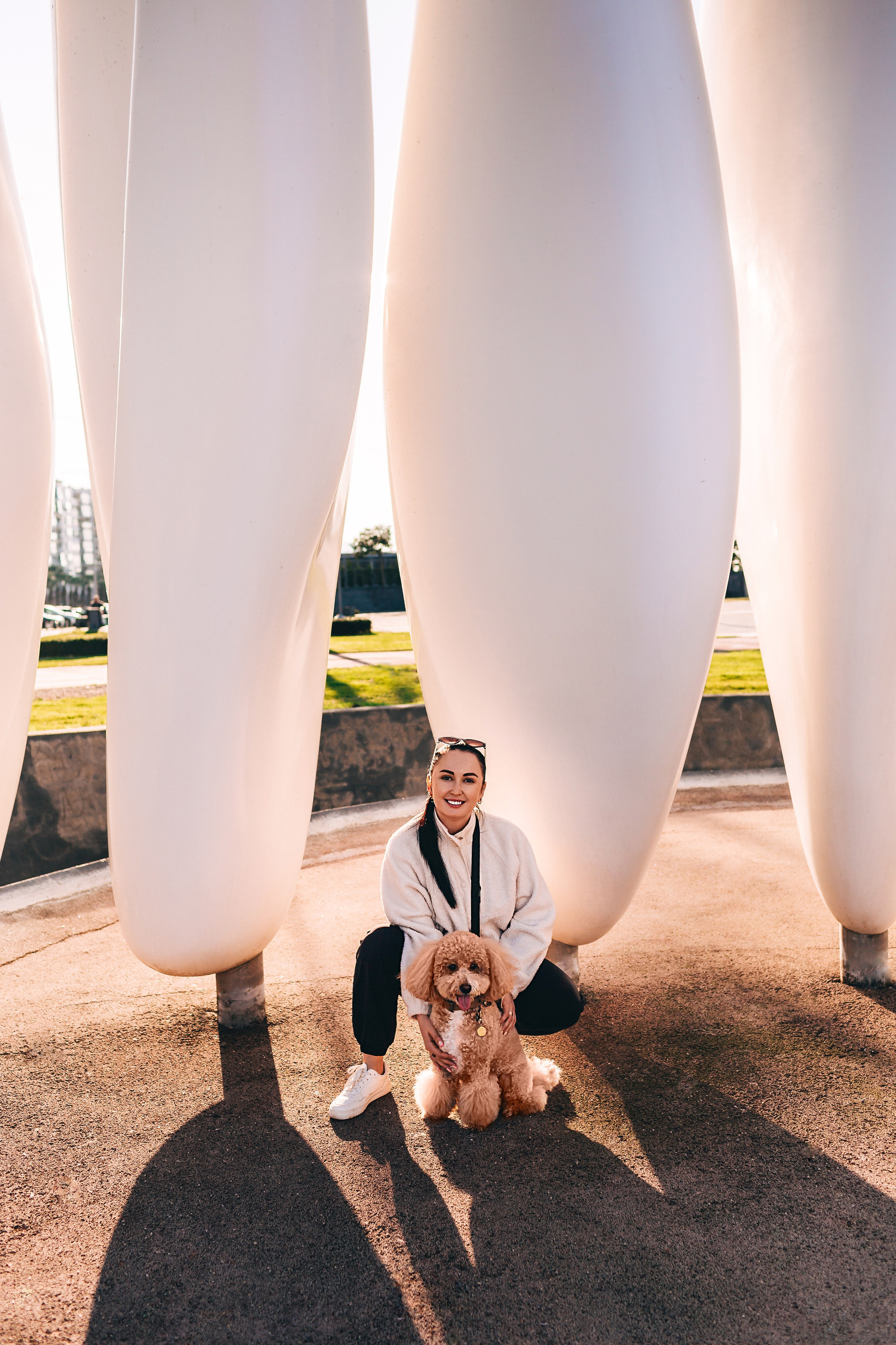 Фотосессия с собакой