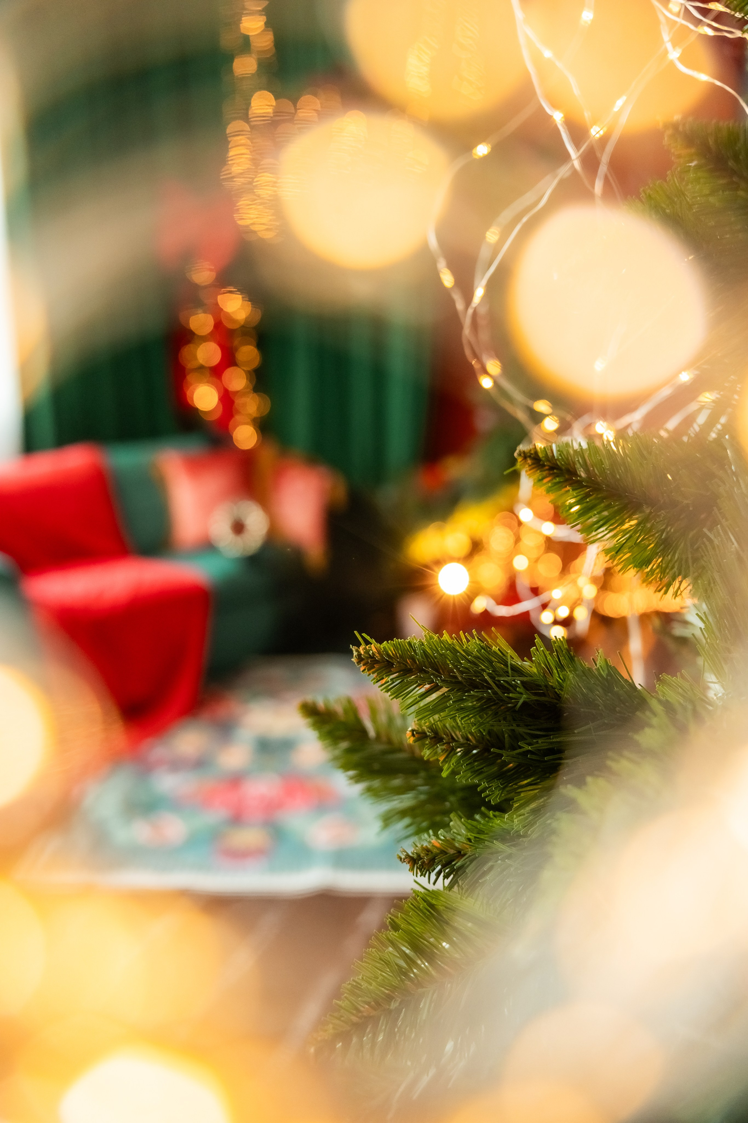 Декор 2024. Фотограф Ирина Йотова