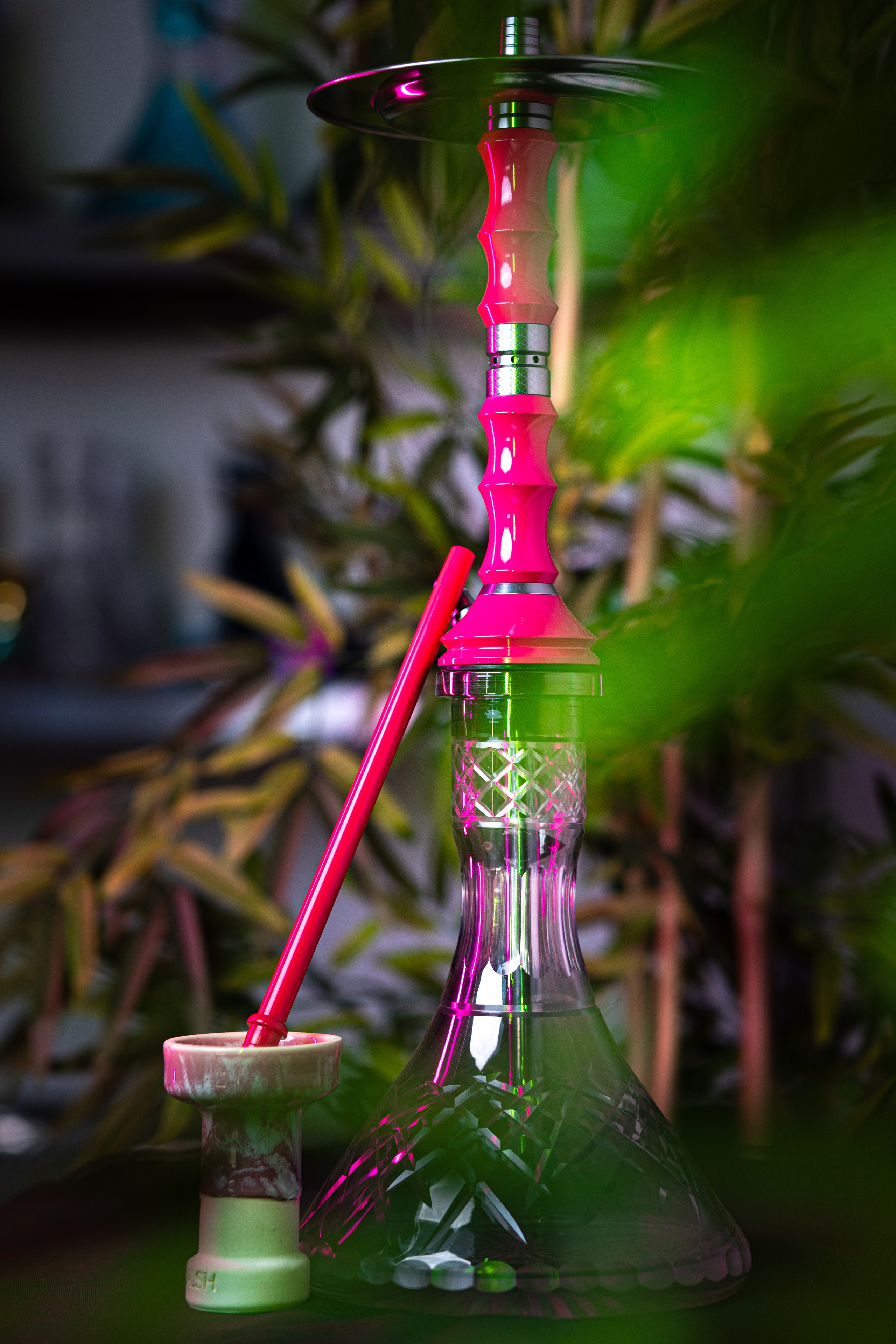 Cachimbas. Baby Beast