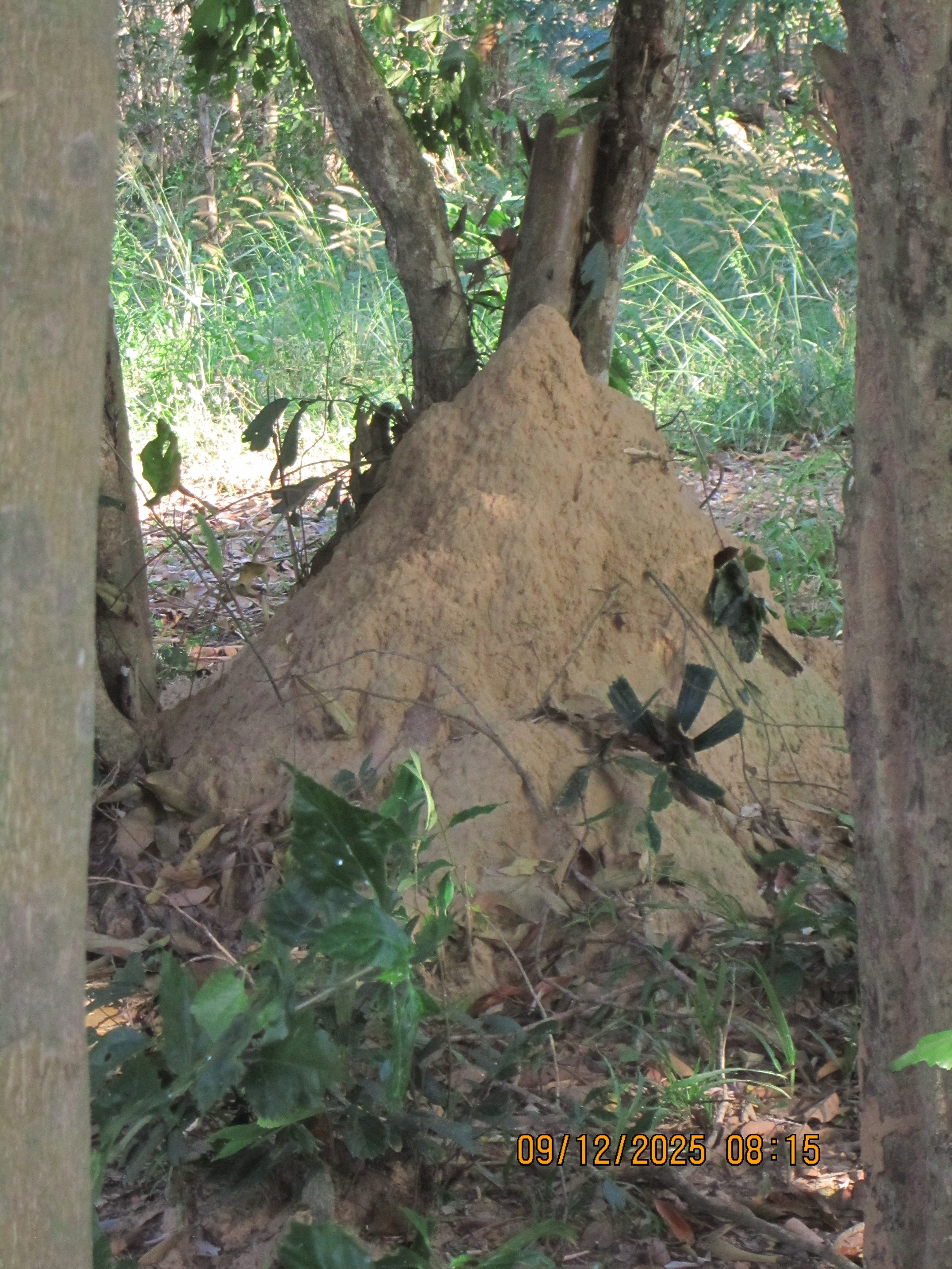 Пятнадцатый день. LondoSpeed Photography