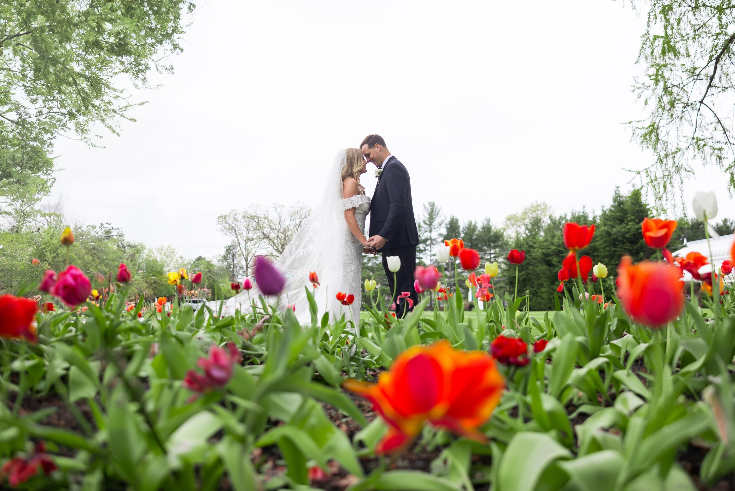 Wedding Photo & Video