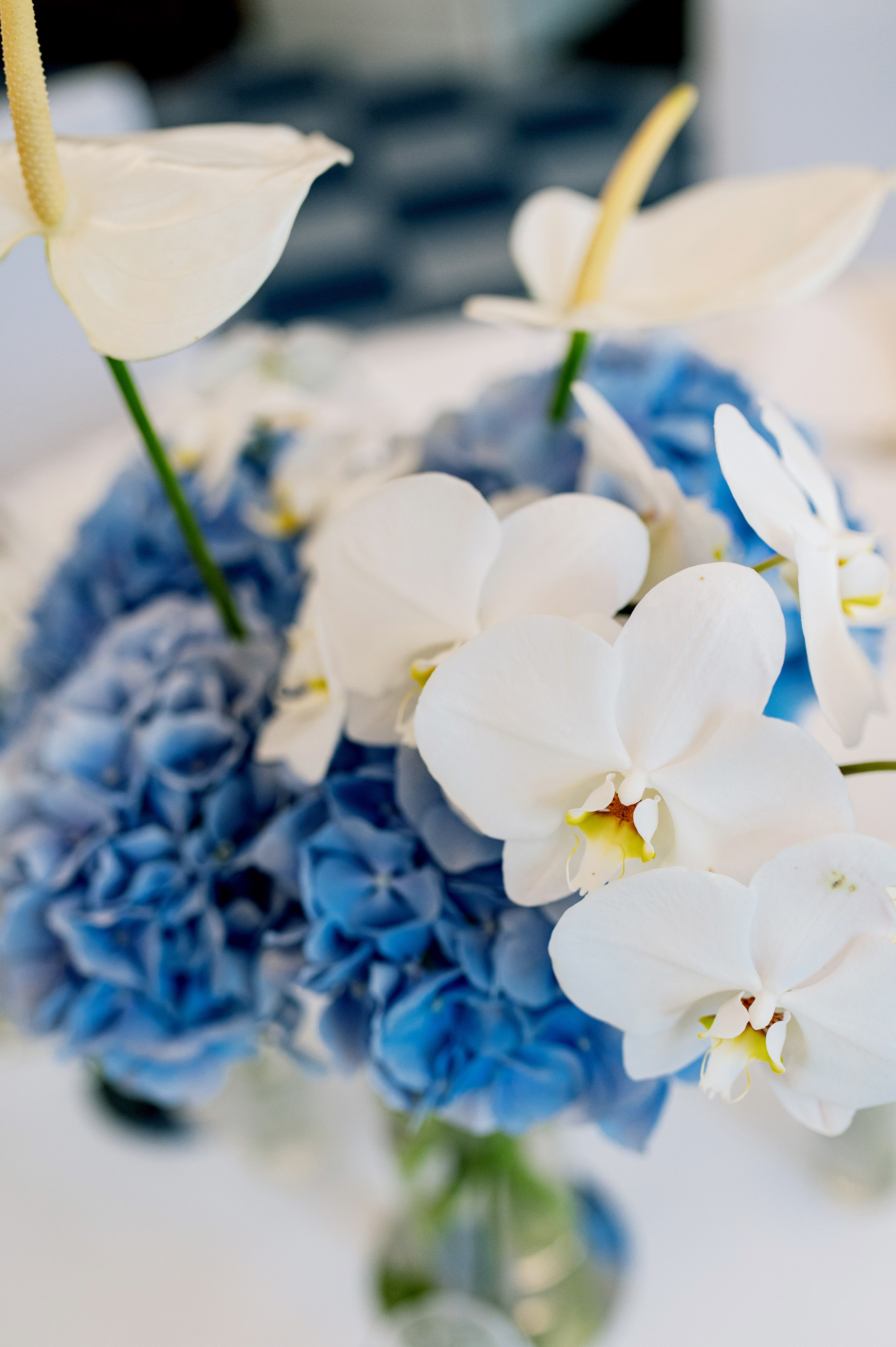 Snizhana i Michał. Свадебный фотограф Виктория Санюк