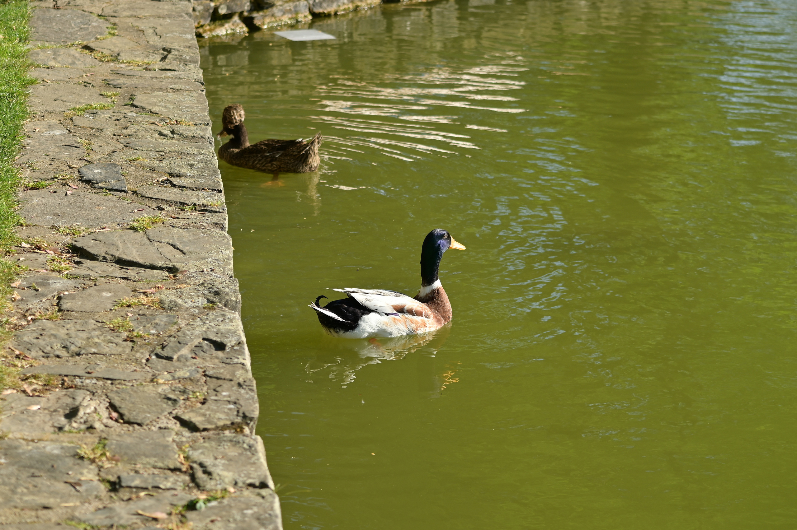 Nature Luxembourg. Милок и Кирок это позитивные и реальные персоны из Люксембурга, много