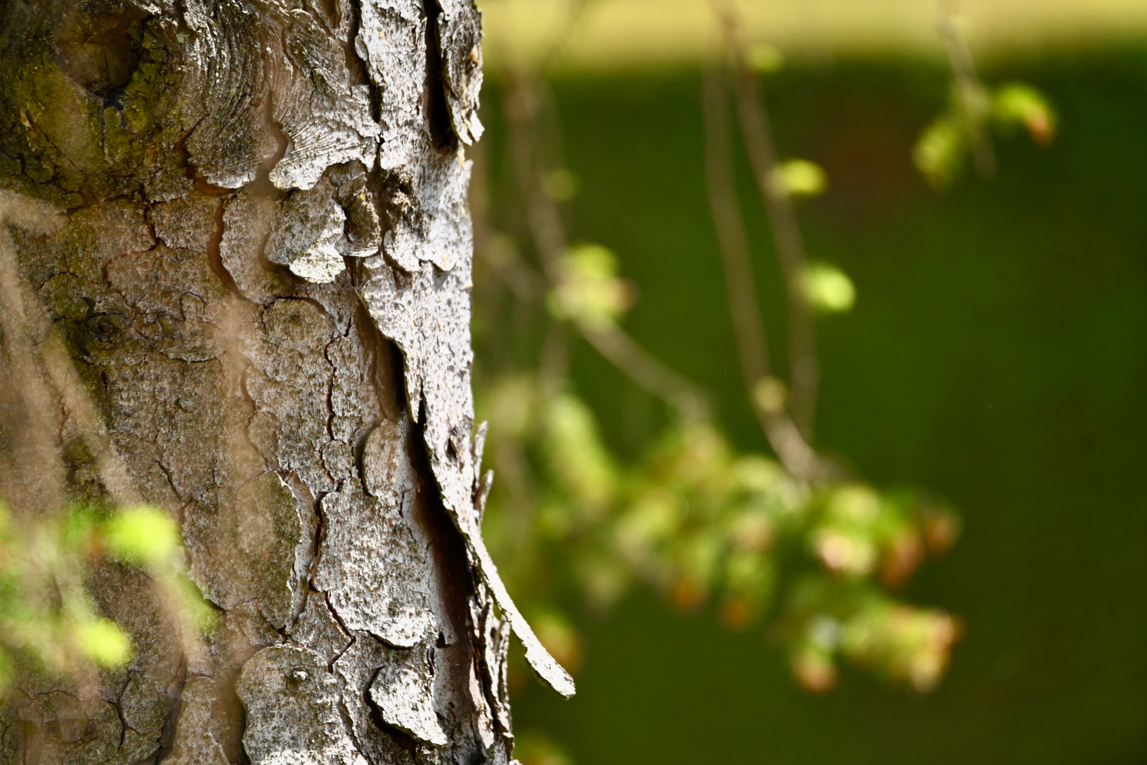 Nature Luxembourg. Милок и Кирок это позитивные и реальные персоны из Люксембурга, много