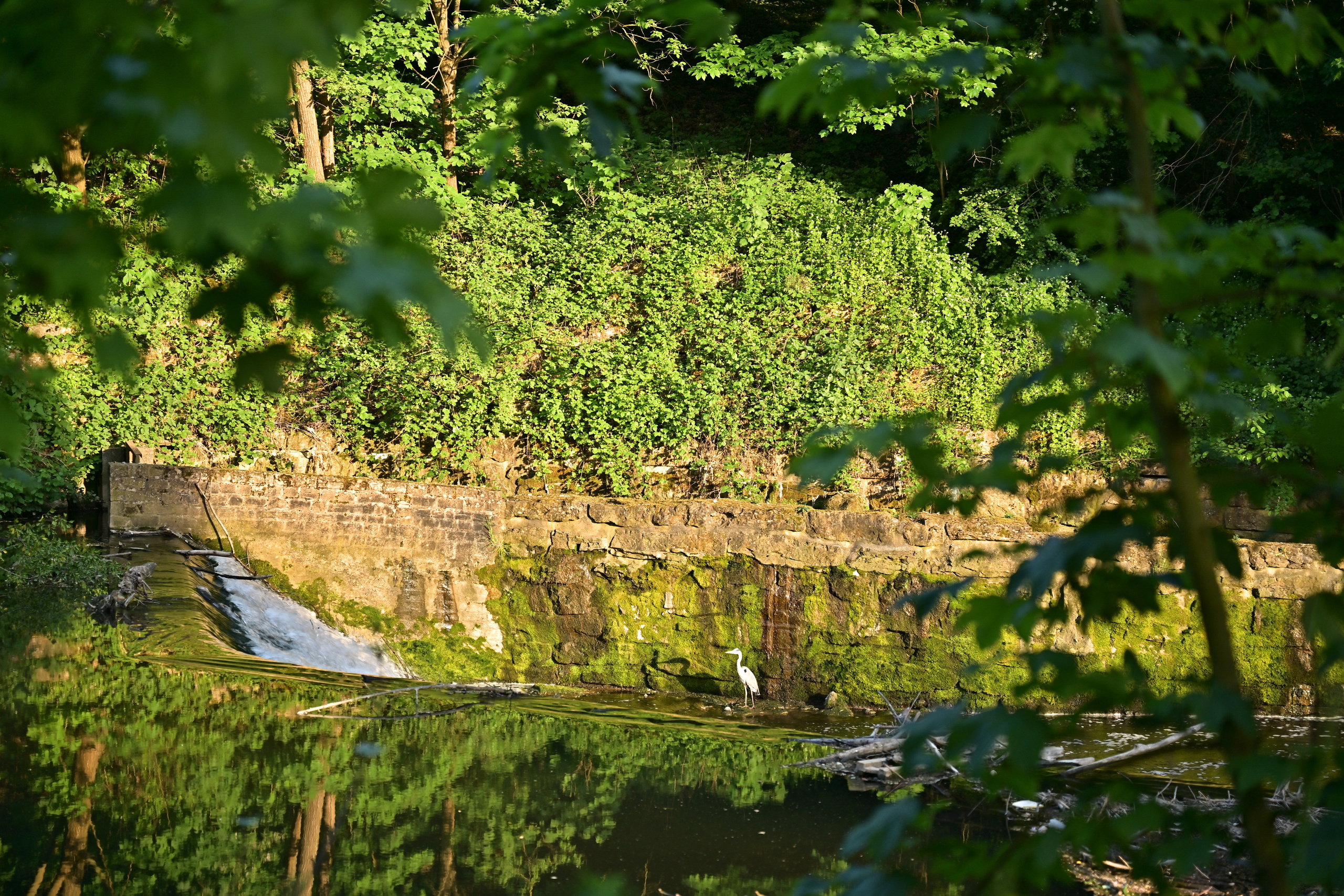 Nature Luxembourg. Милок и Кирок это позитивные и реальные персоны из Люксембурга, много