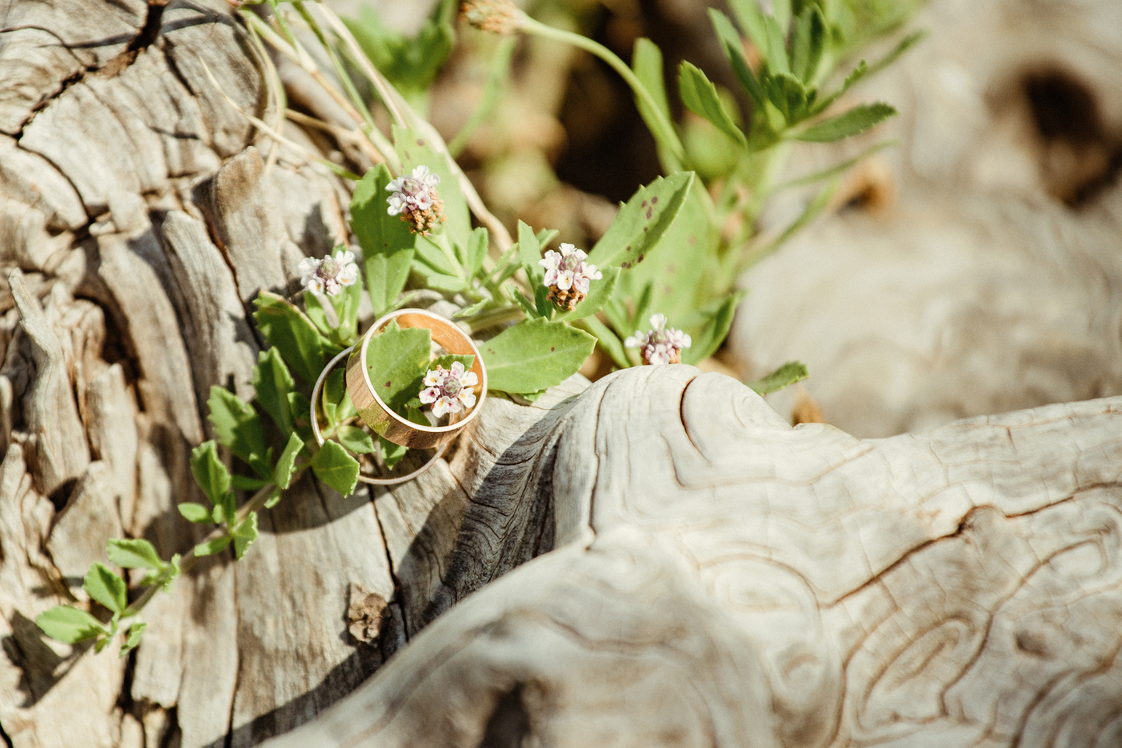 Выездная свадебная фотосессия в античном городе. Фотограф в Каппадокии / Julia Ganch