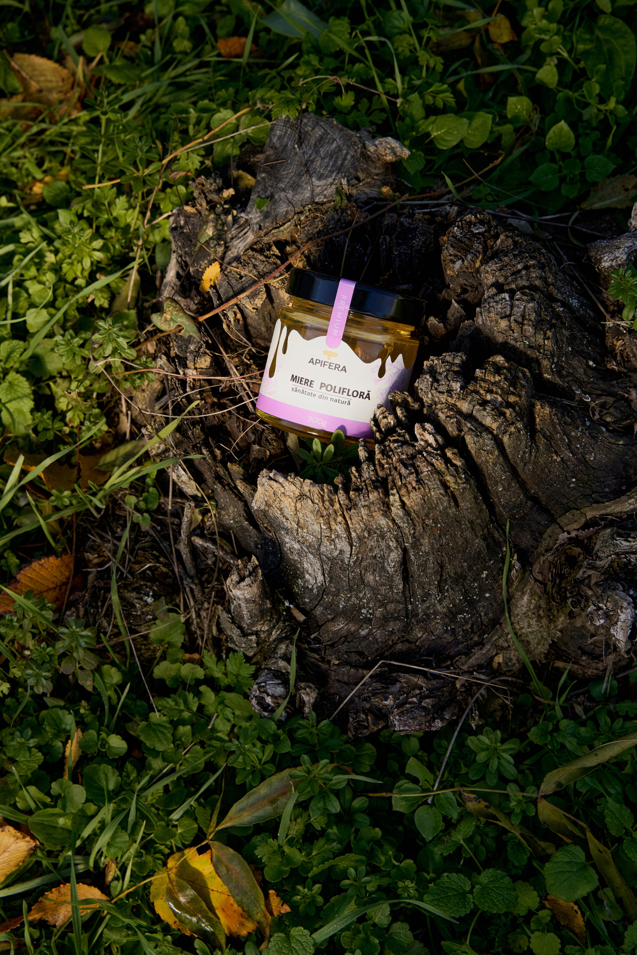 E-commerce. Привет