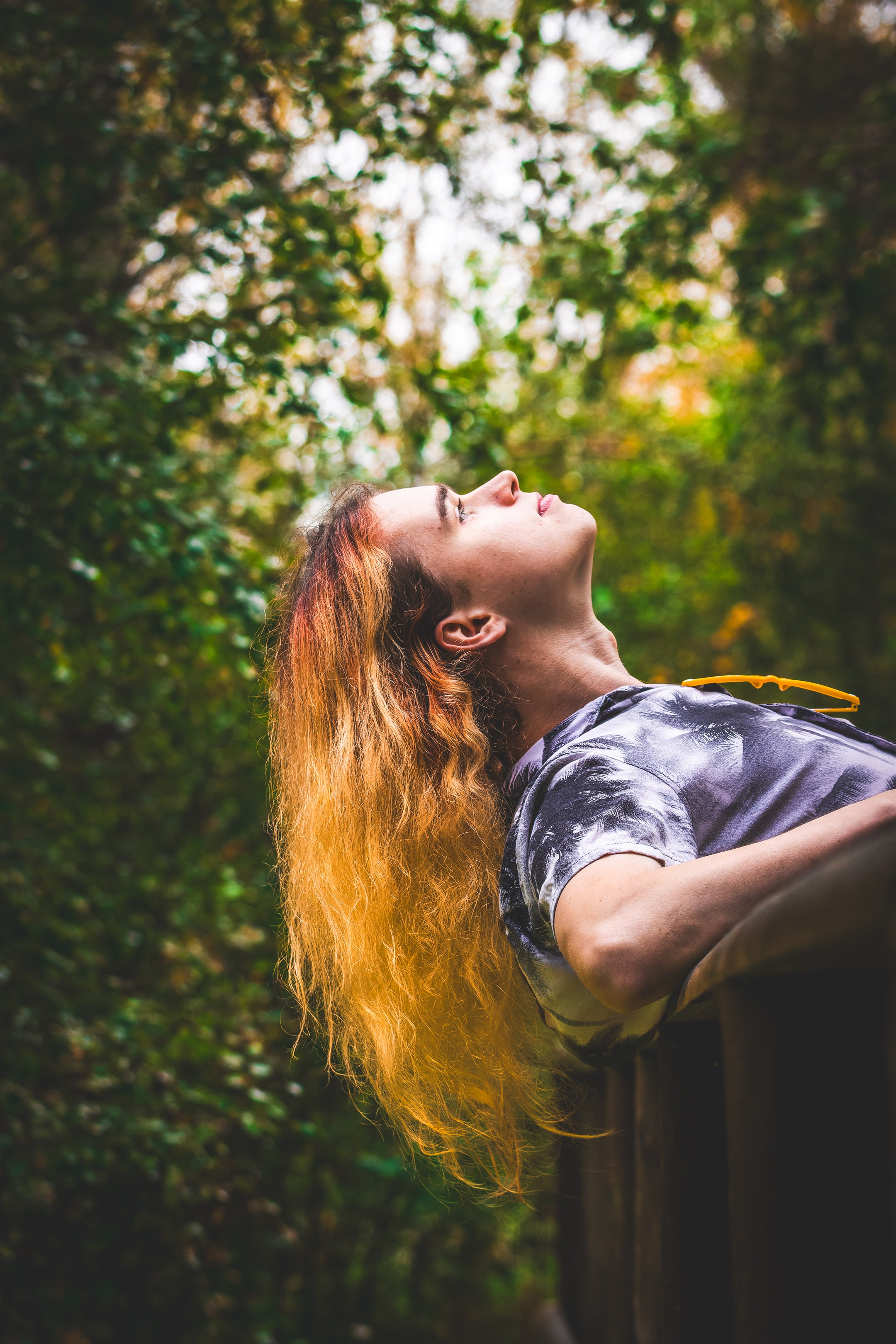 Mets, vihm ja jahedus (Dimitry). Nebula 25 — Fotod teie hingele