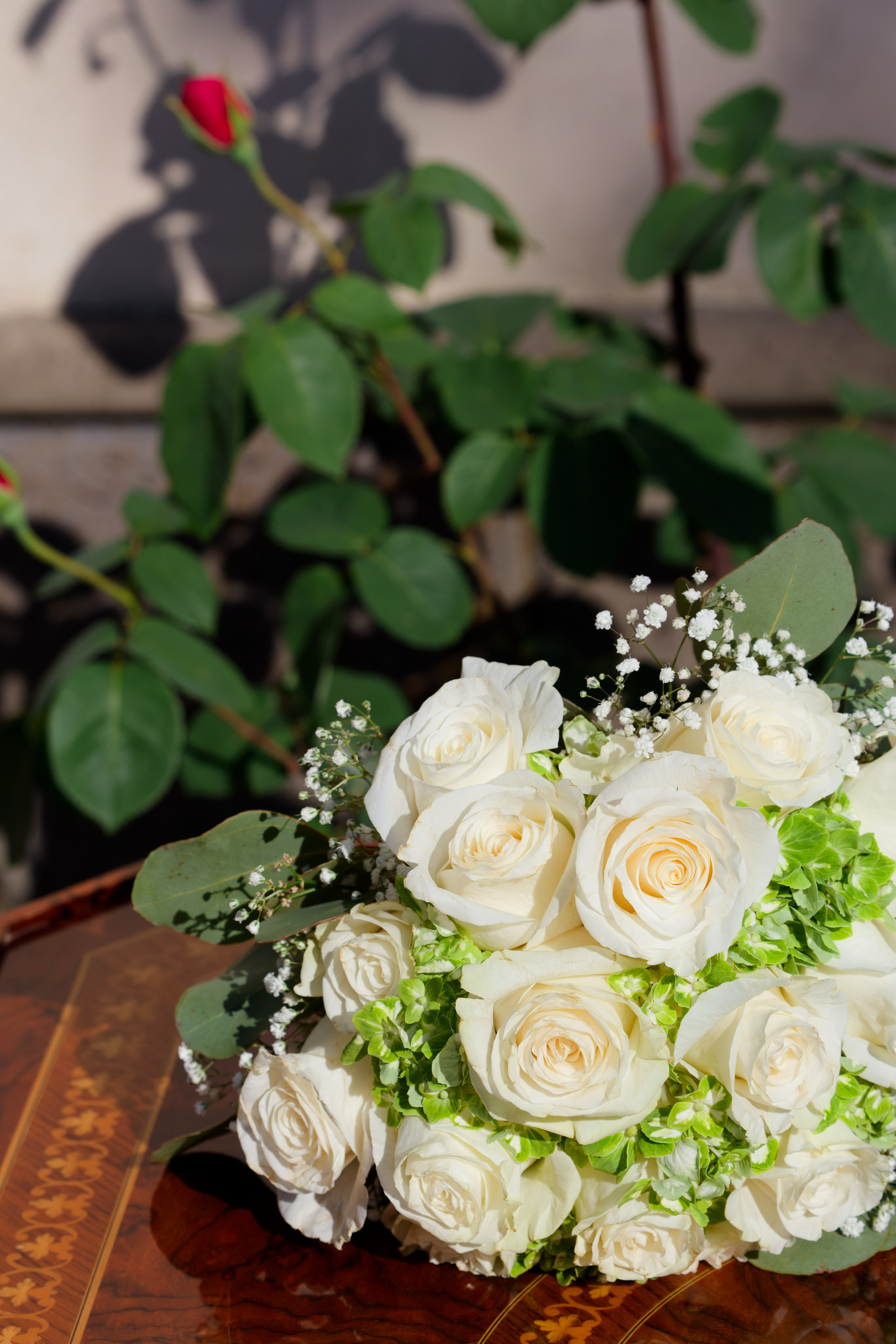 Alana & Joseph. Destination Wedding Photographer — Nikita Burtsev