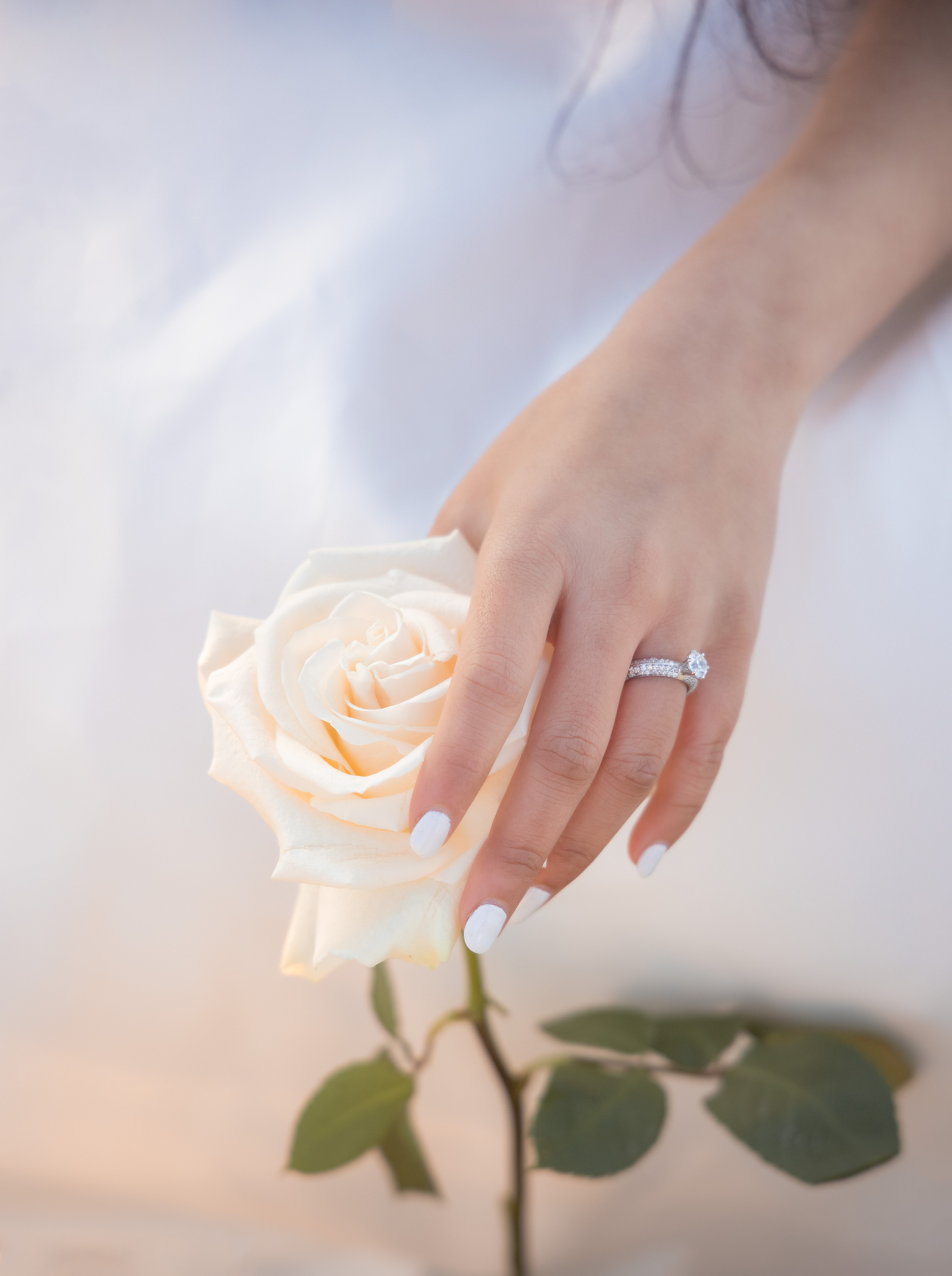 WEDDING PHOTOGRAPHY. Couples & Families photographer in Bay Area, San Jose, California