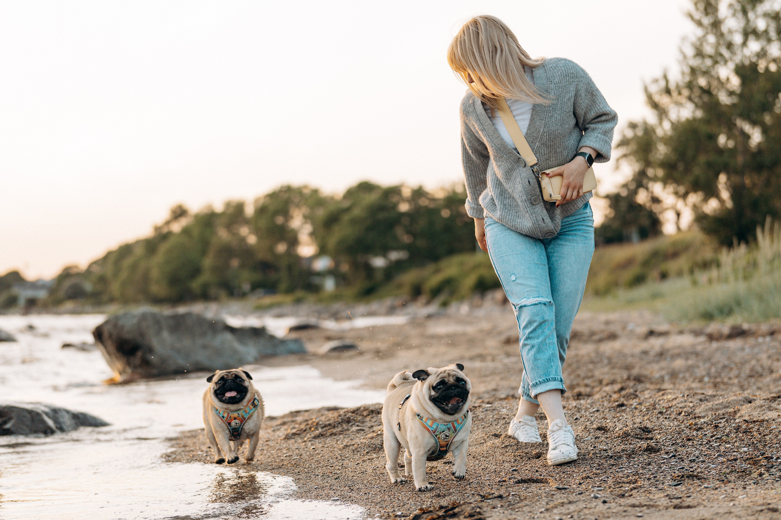 Frank, Tony, Katerina & Lev. Kat Laisaar — Pet photographer in Tallinn