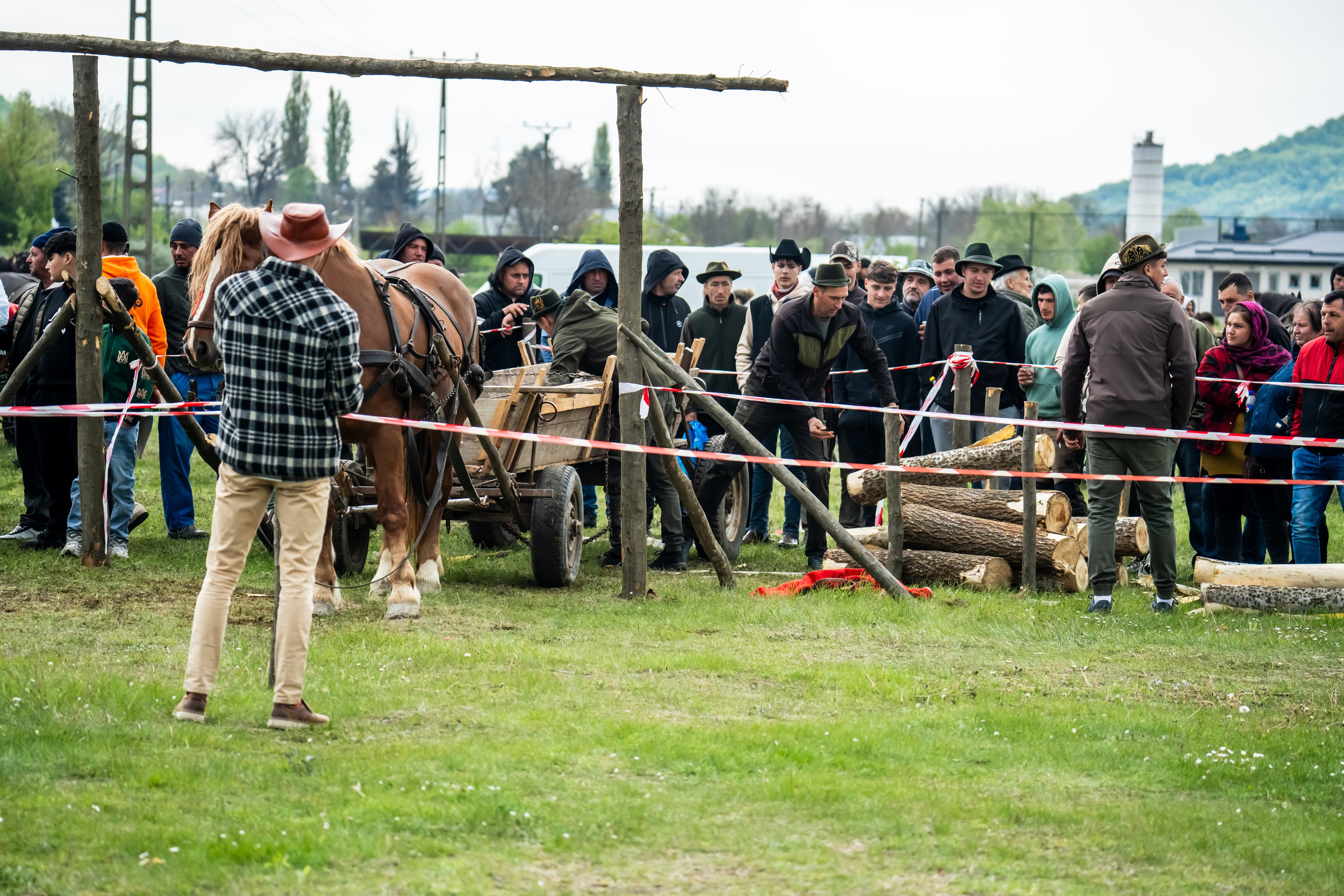Concurs Ecvestru Vărbilău ediția a 4-a. Mihai Alexandra Events