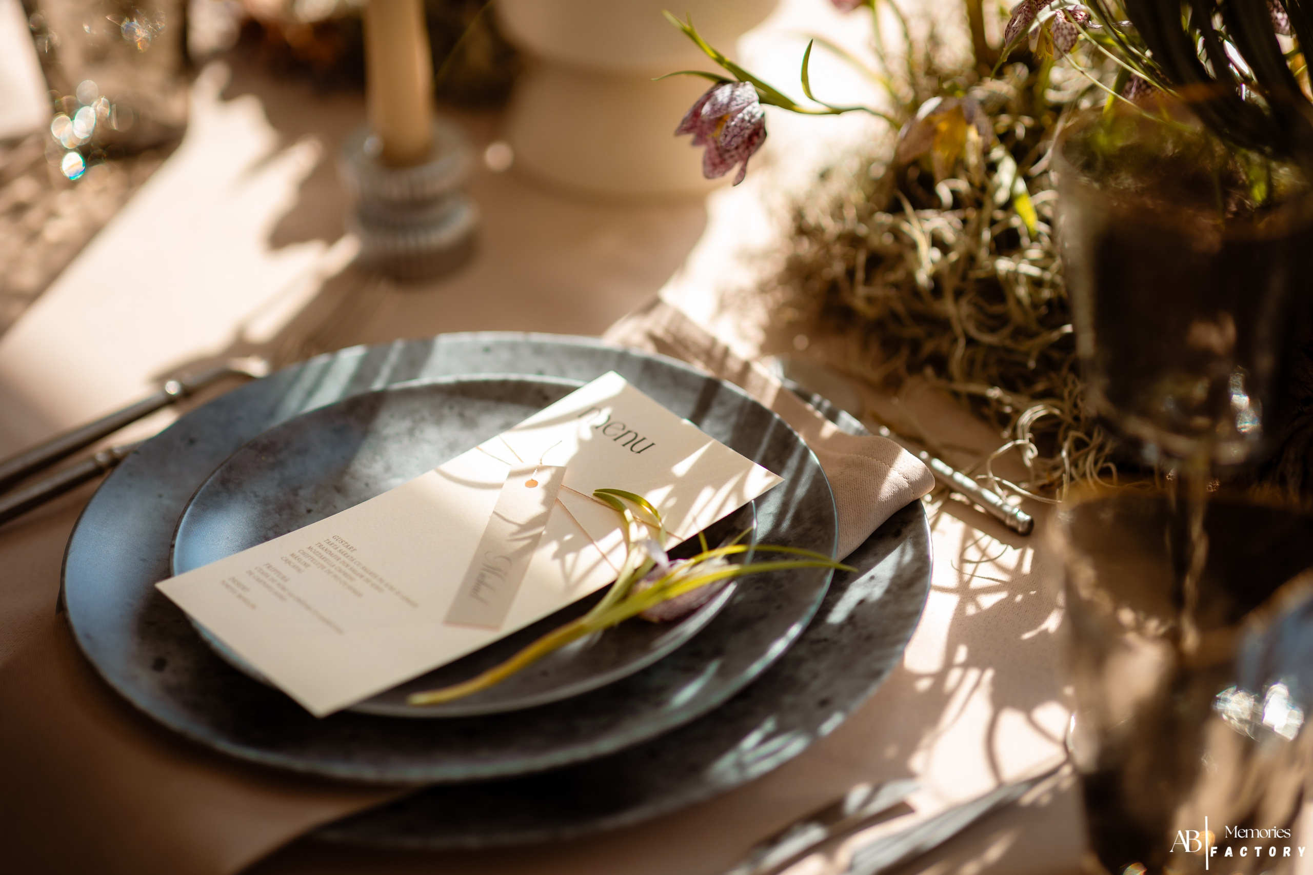 Photoshoot | After Weeding. Bordeiionutfotograf