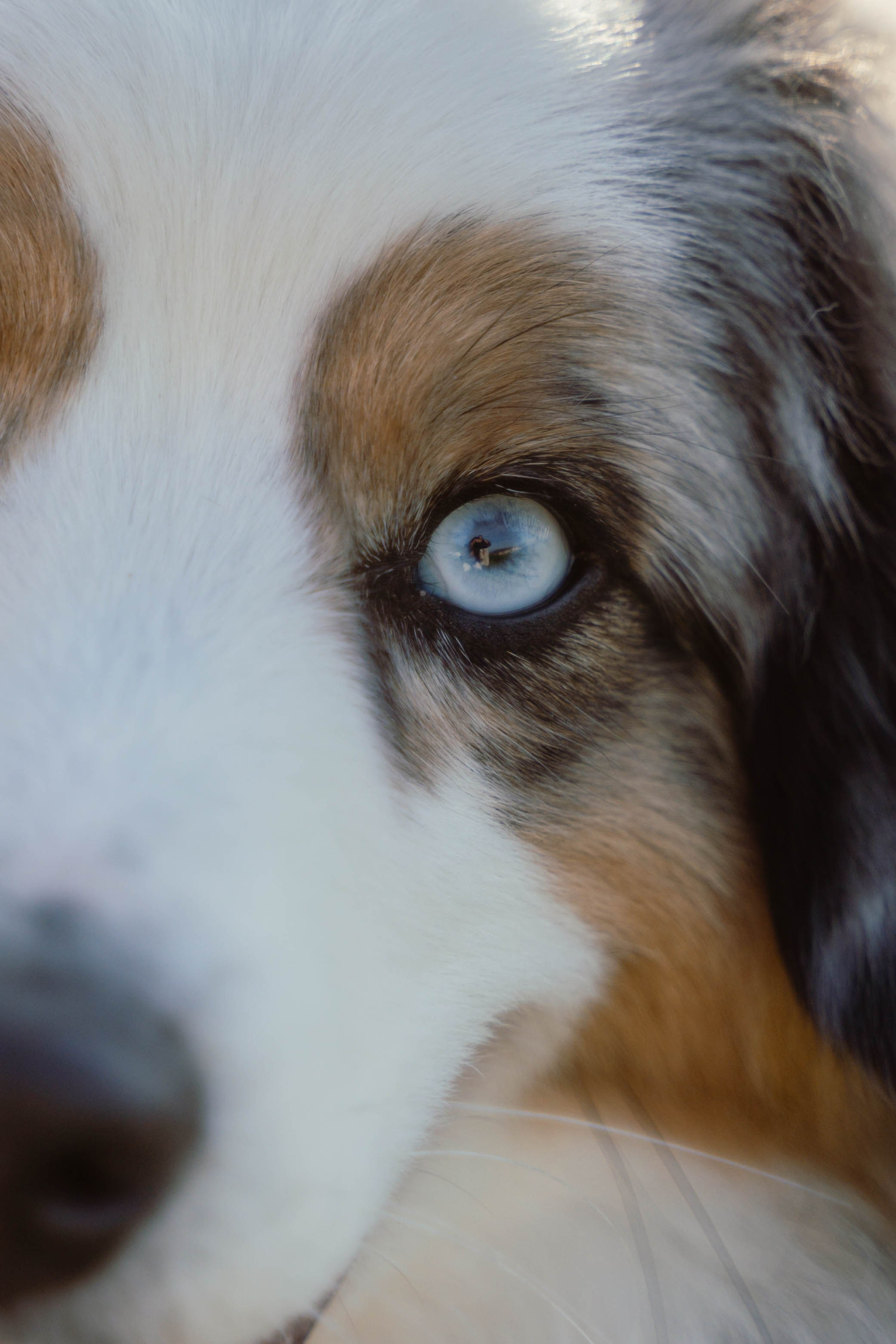 Lola & Nolhan. Weeding photographer / event / portrait