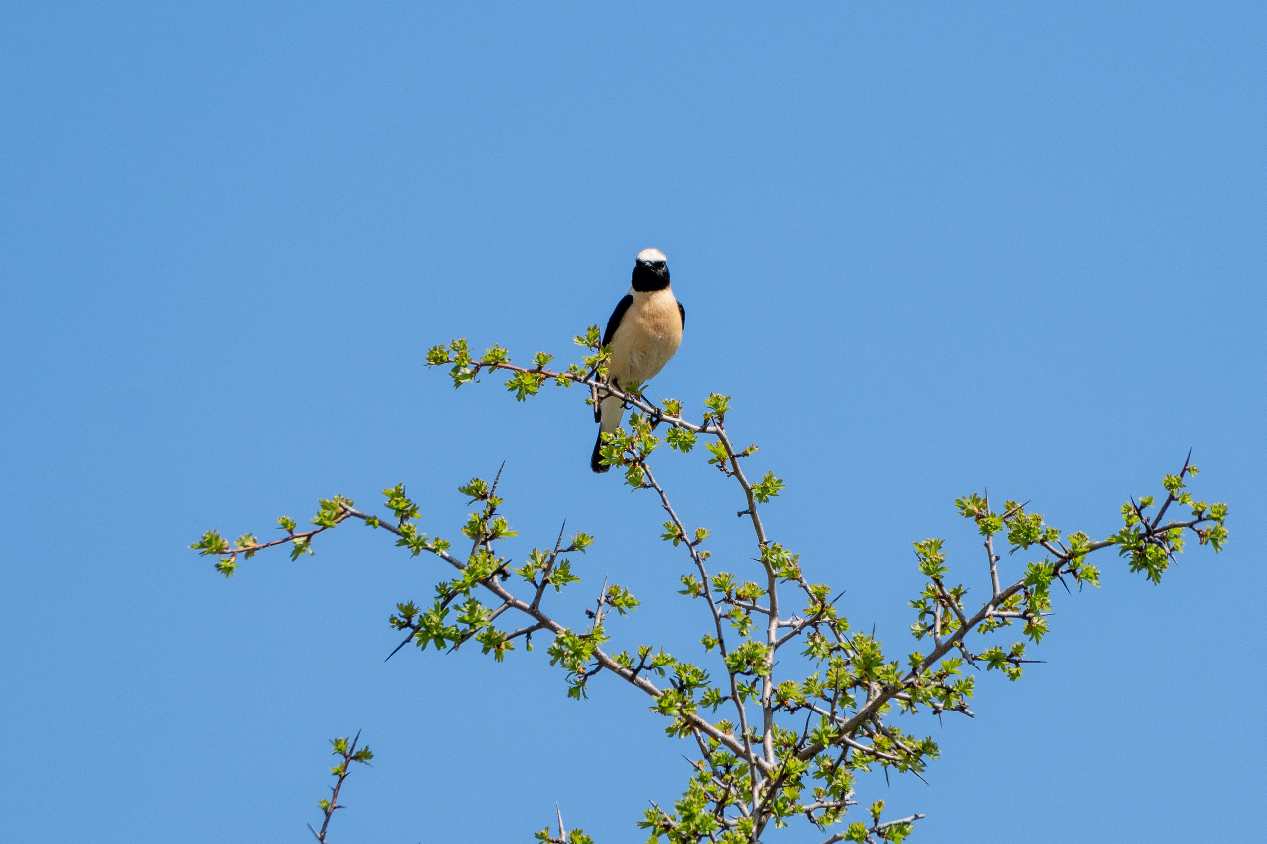 Thasos 2025. Fotografiideplacere.net