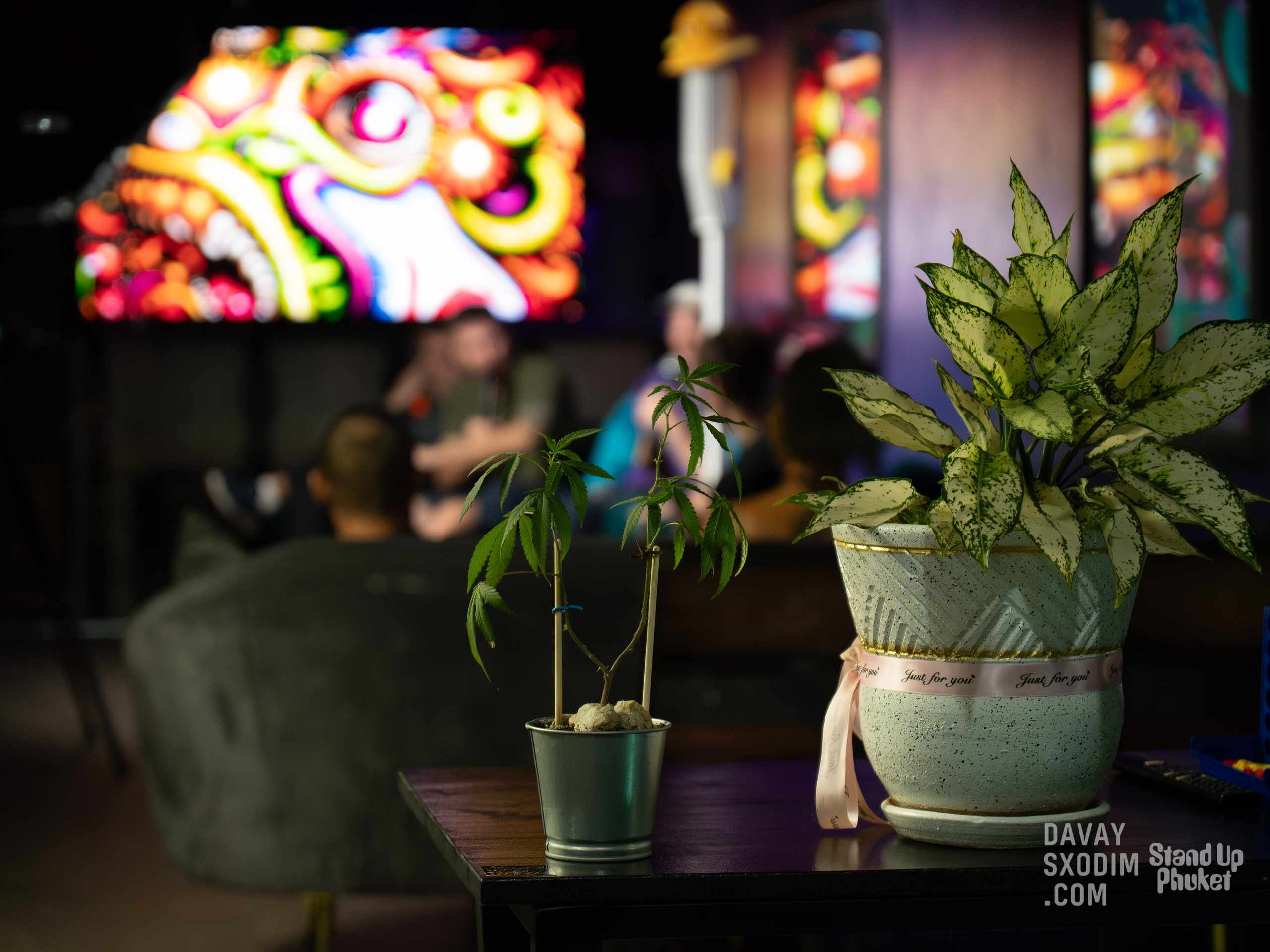 Standup-шоу «Тай-Болтай» | Фоторепортаж | Афиша | DAVAYSXODIM.com PHUKET. АФИША|ФОТОРЕПОРТАЖИ|ИВЕНТЫ|ПХУКЕТ