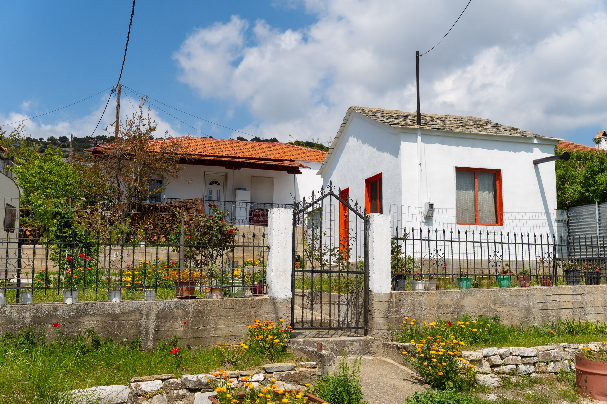 Thasos 2025. Fotografiideplacere.net