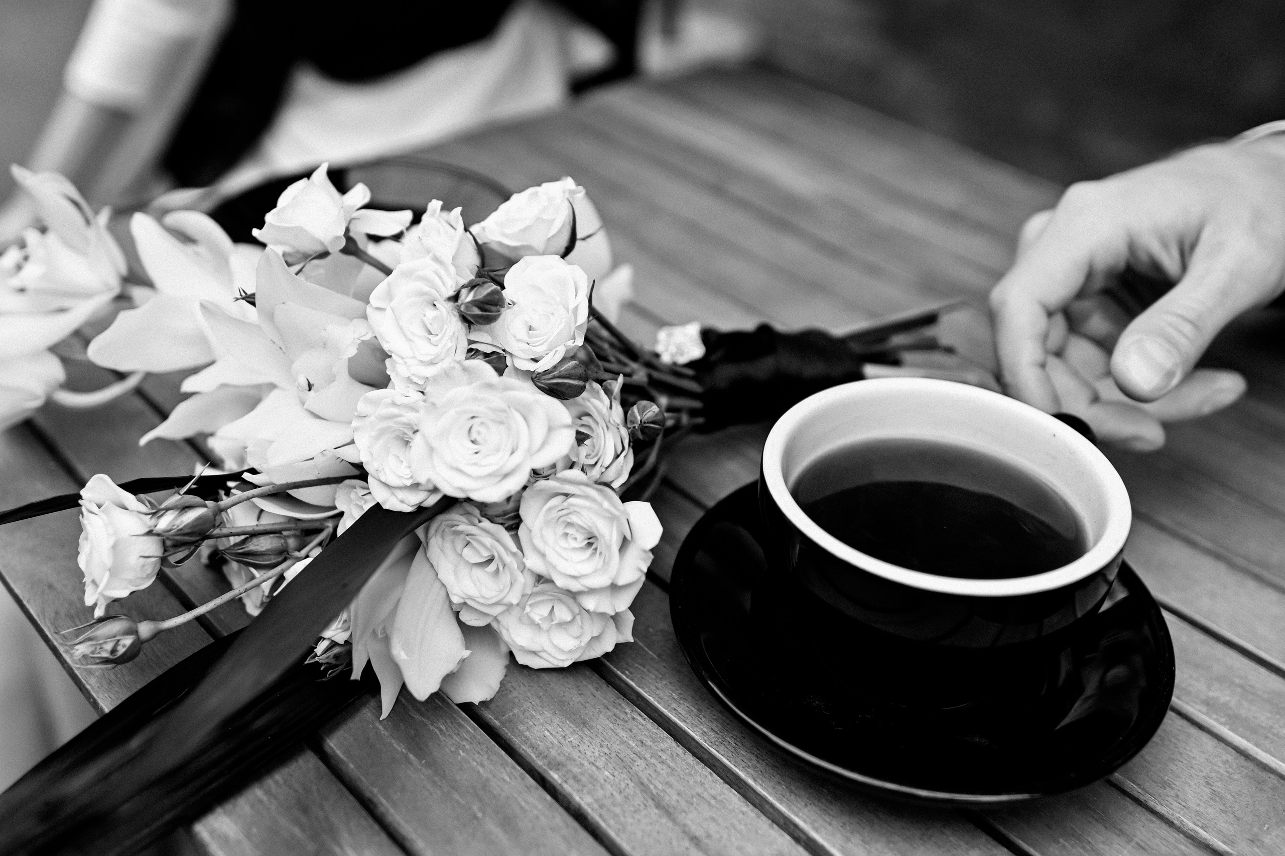 История с далматинцами. Детский и семейный фотограф в финляндии дина пулкка. контент фотограф