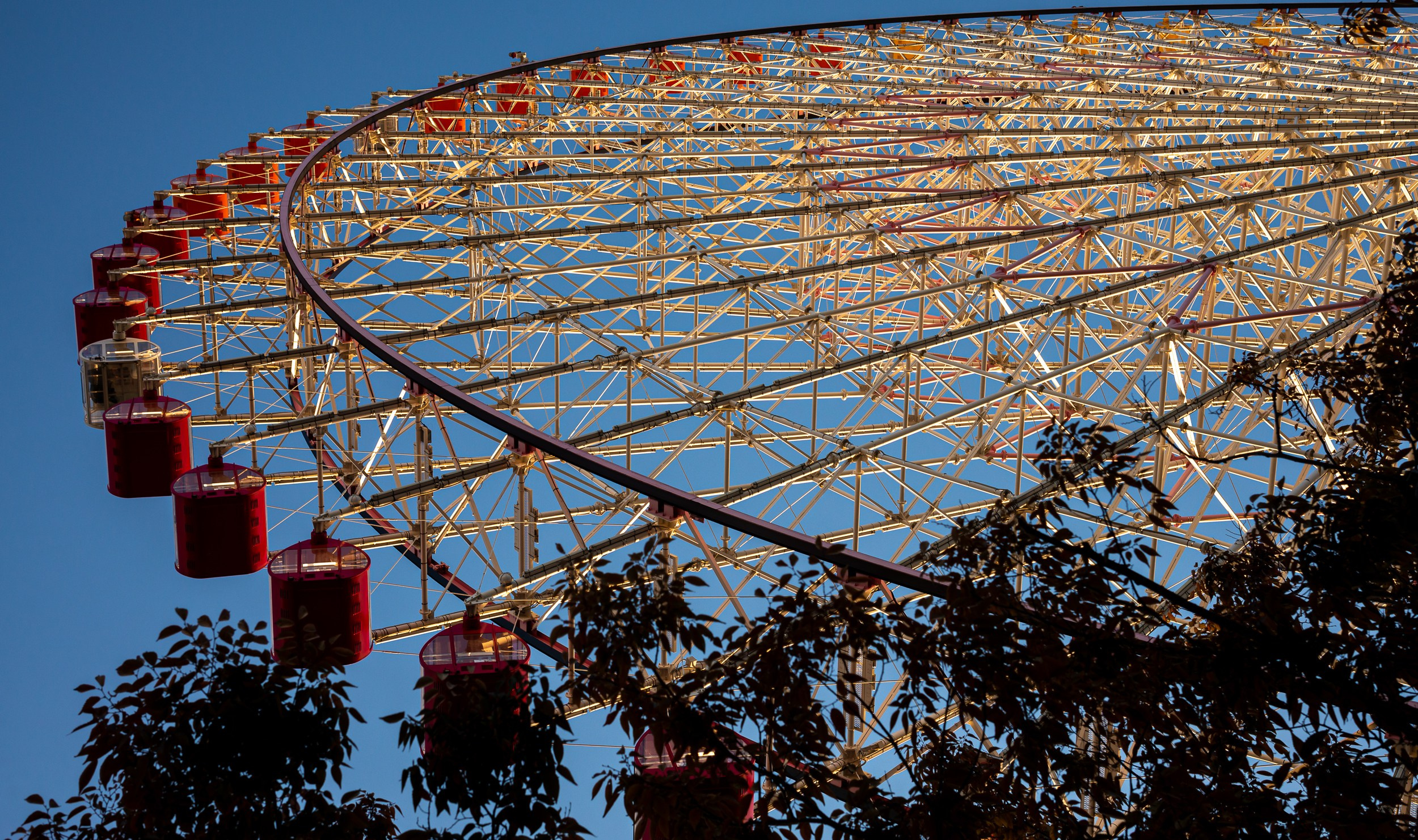 Japan. Marius Ciocan