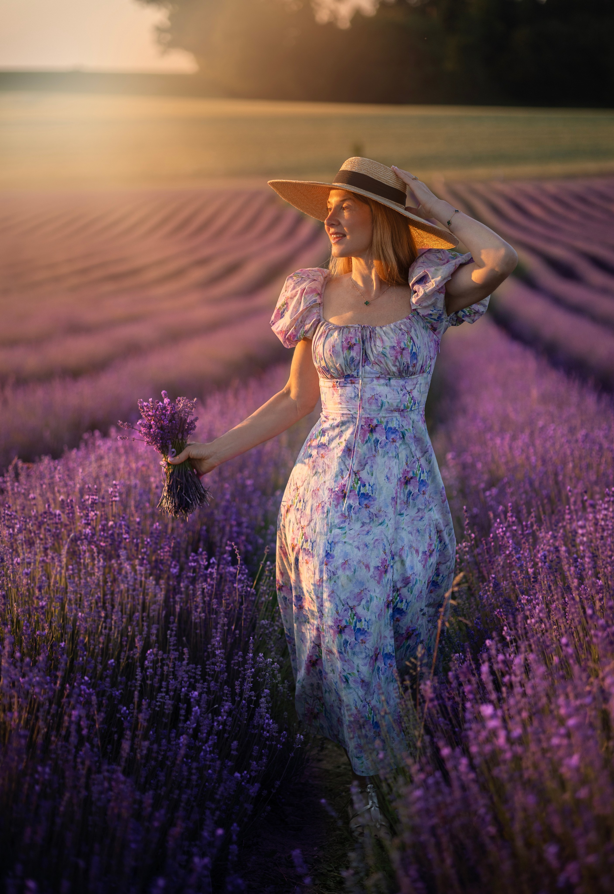 Lavendel. Photographer in Munich