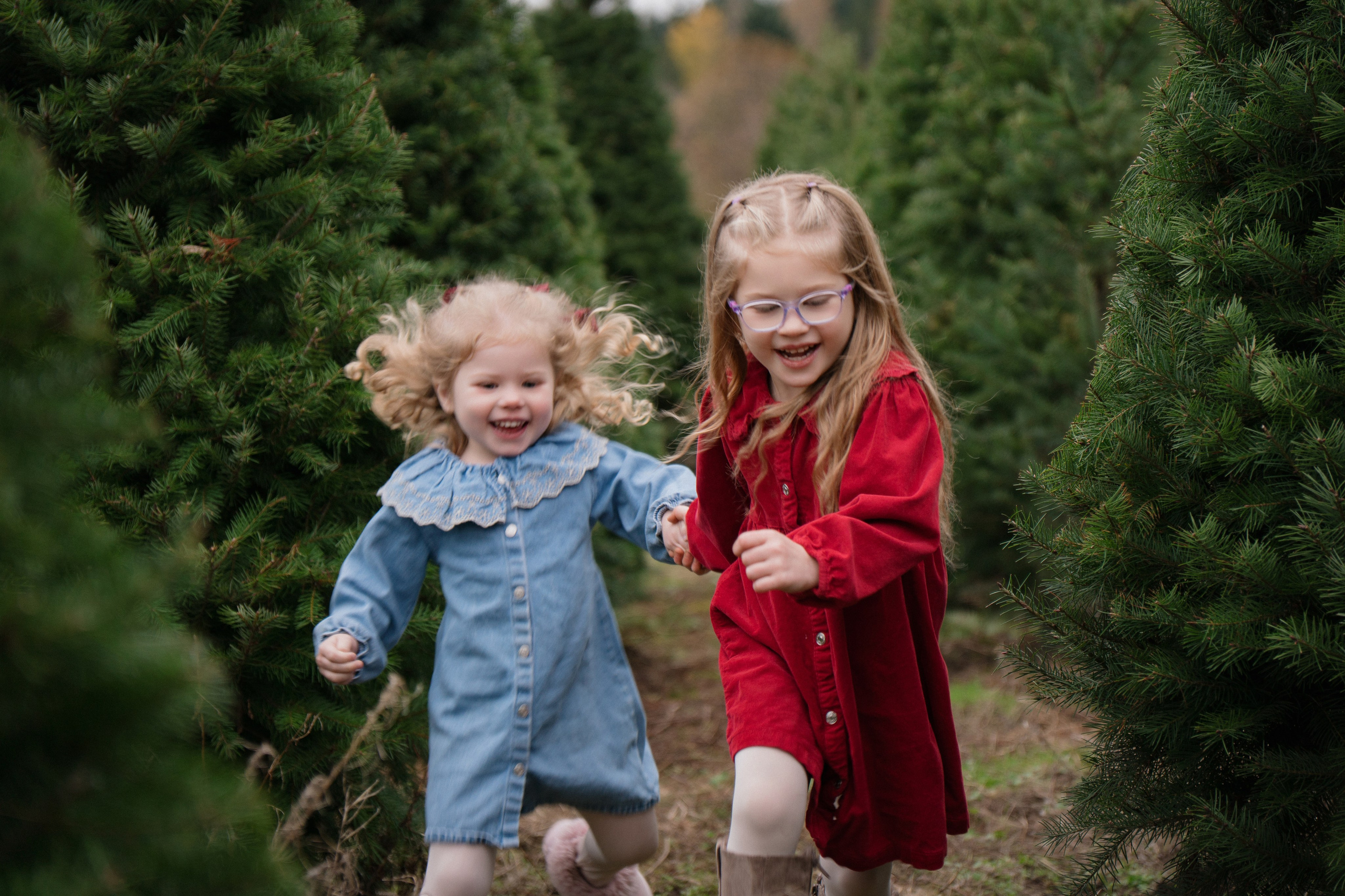 Christmas sessions. Photographer in Washington Sophia D
