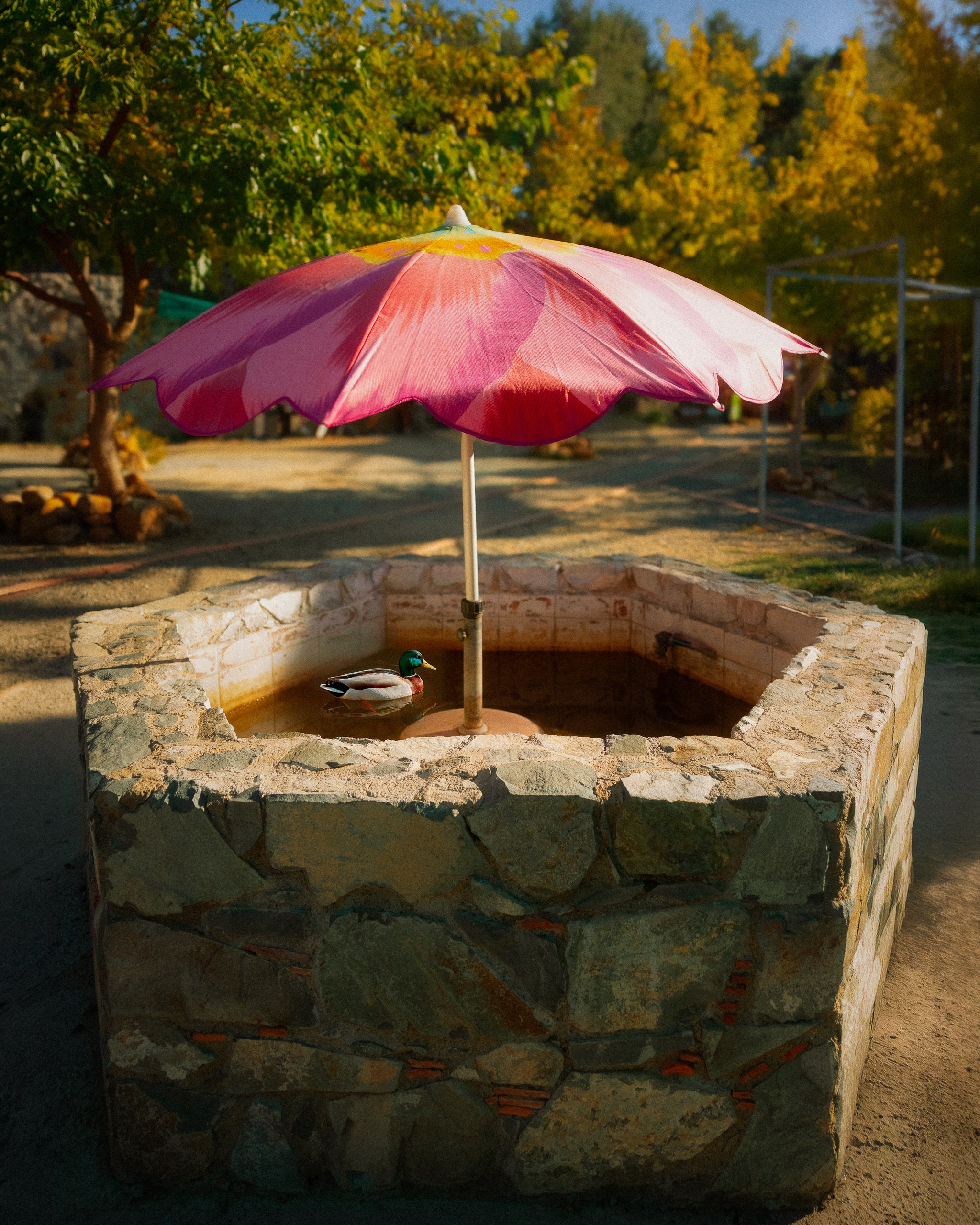 Photos of places around the World