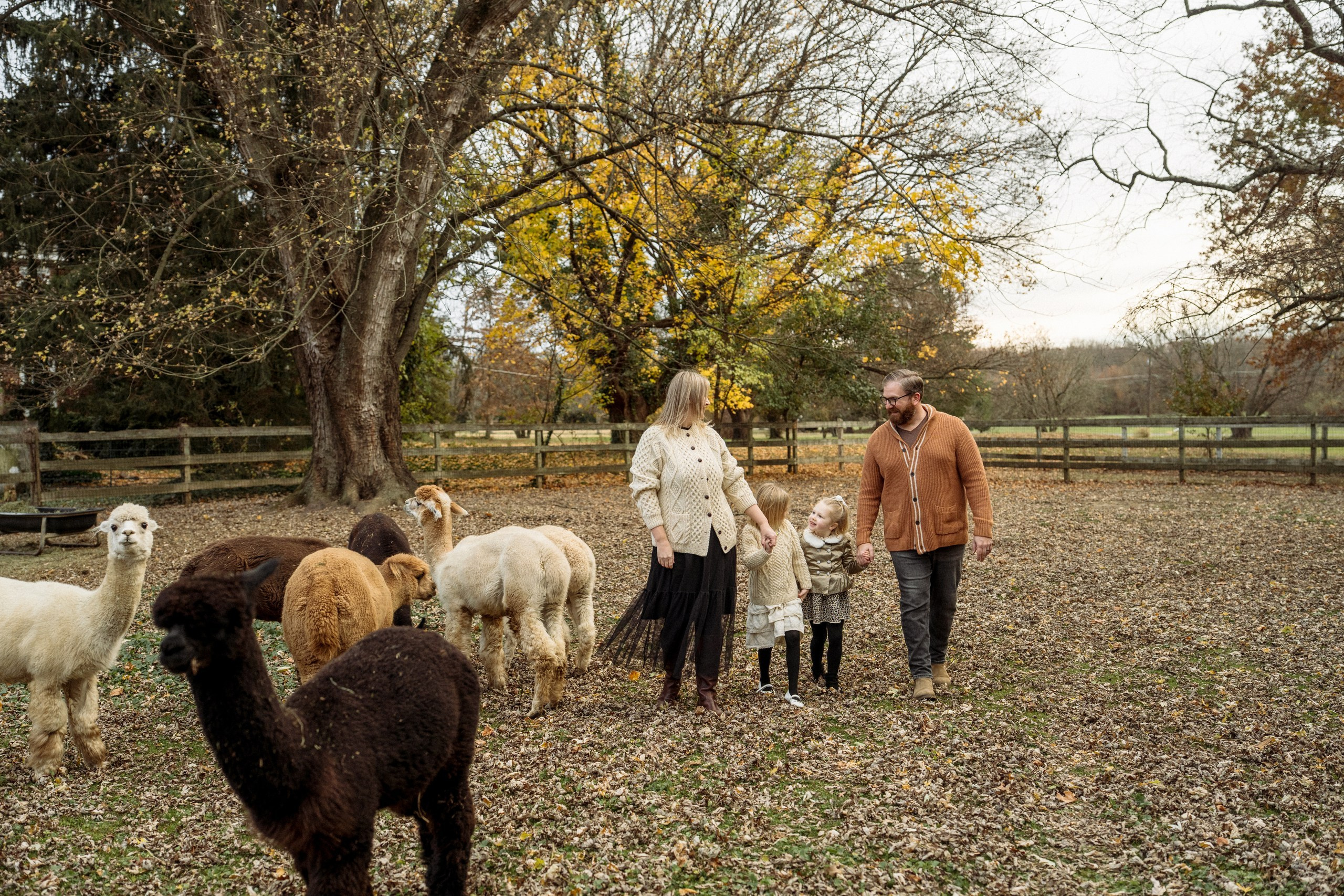 Anna, Stephen, Maribel and Maya. Alisa Tant — Family and newborn photographer Bucks County, Montgomery county, Philadelphia, NJ