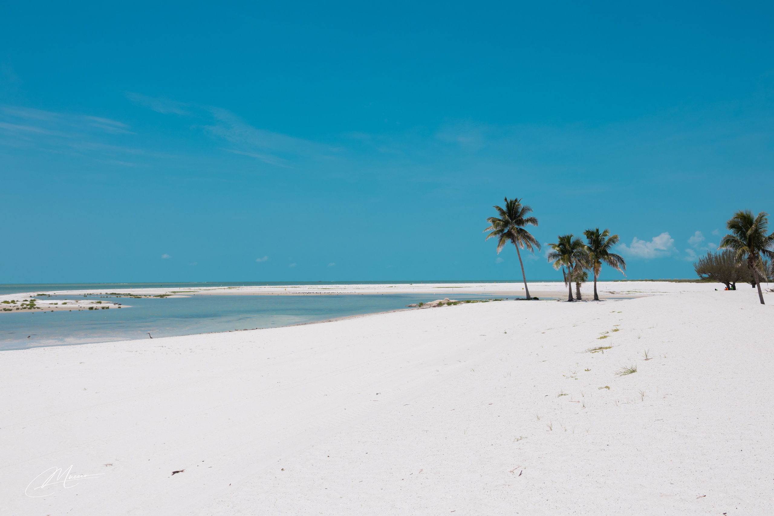 Florida Man — Fort Myers Walkabout. Out and About 239