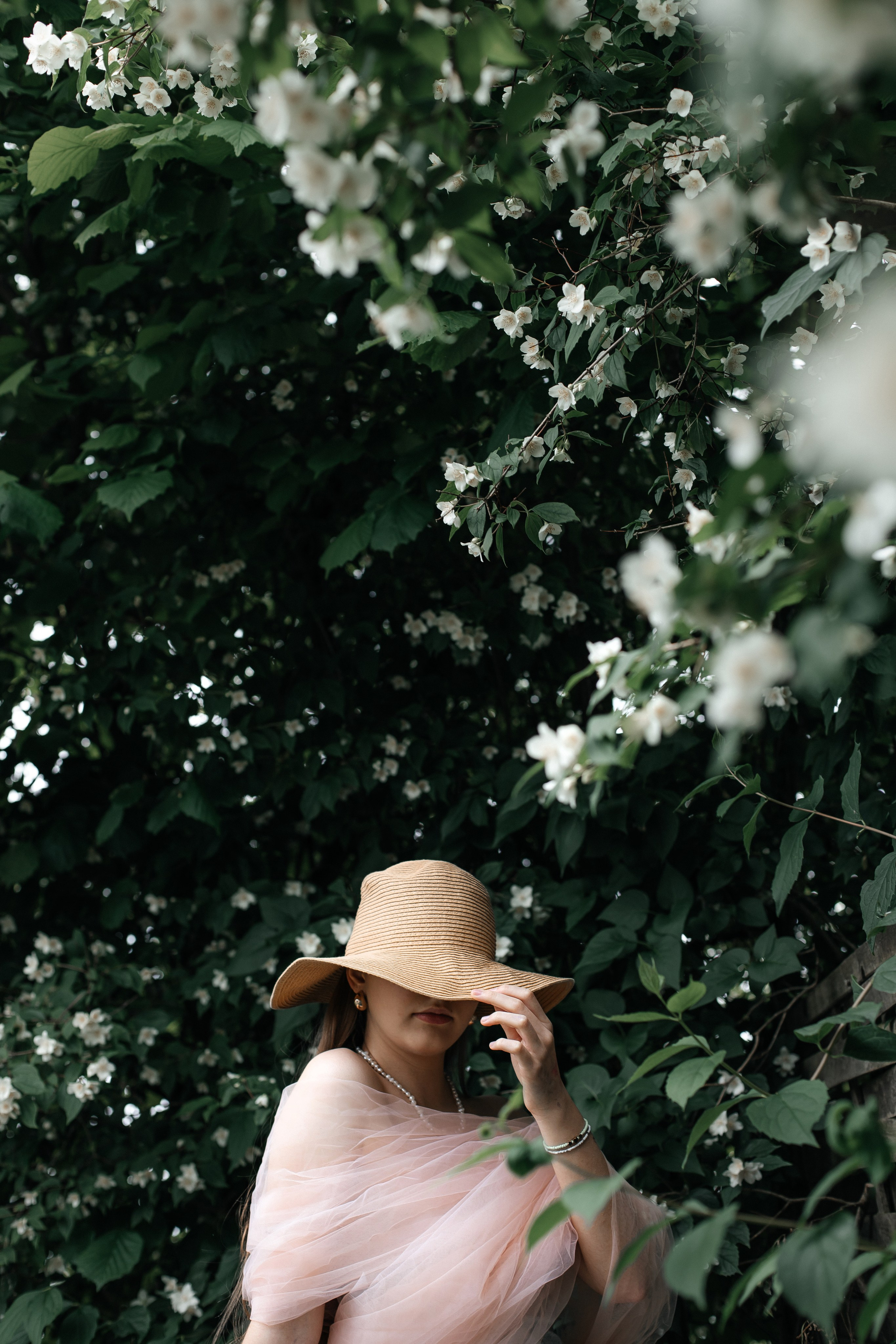 Foto in Jasmin. PHOTOgrapher Germany MARBURG