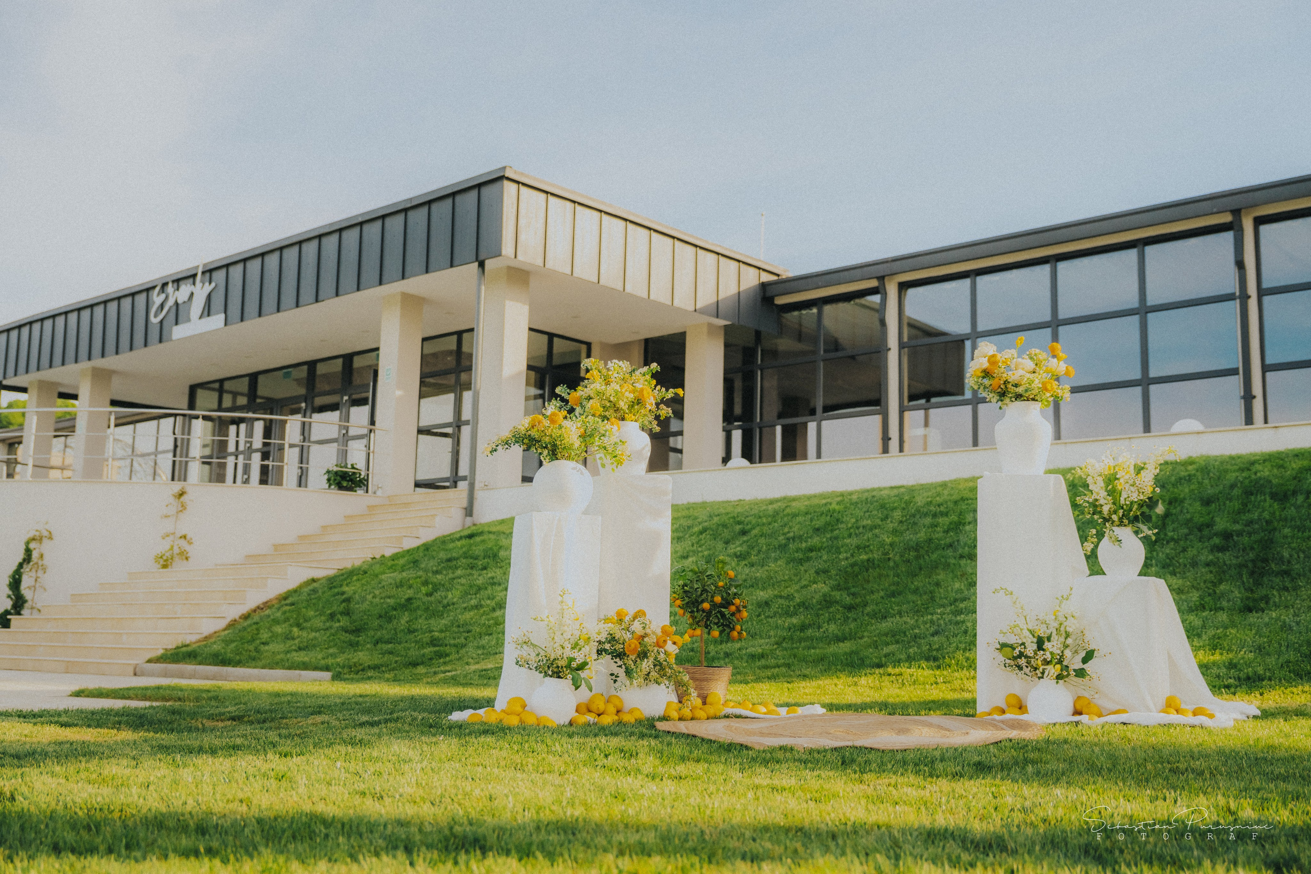 Love & Lemons. Sebastian Purusniuc Fotograf - Iasi