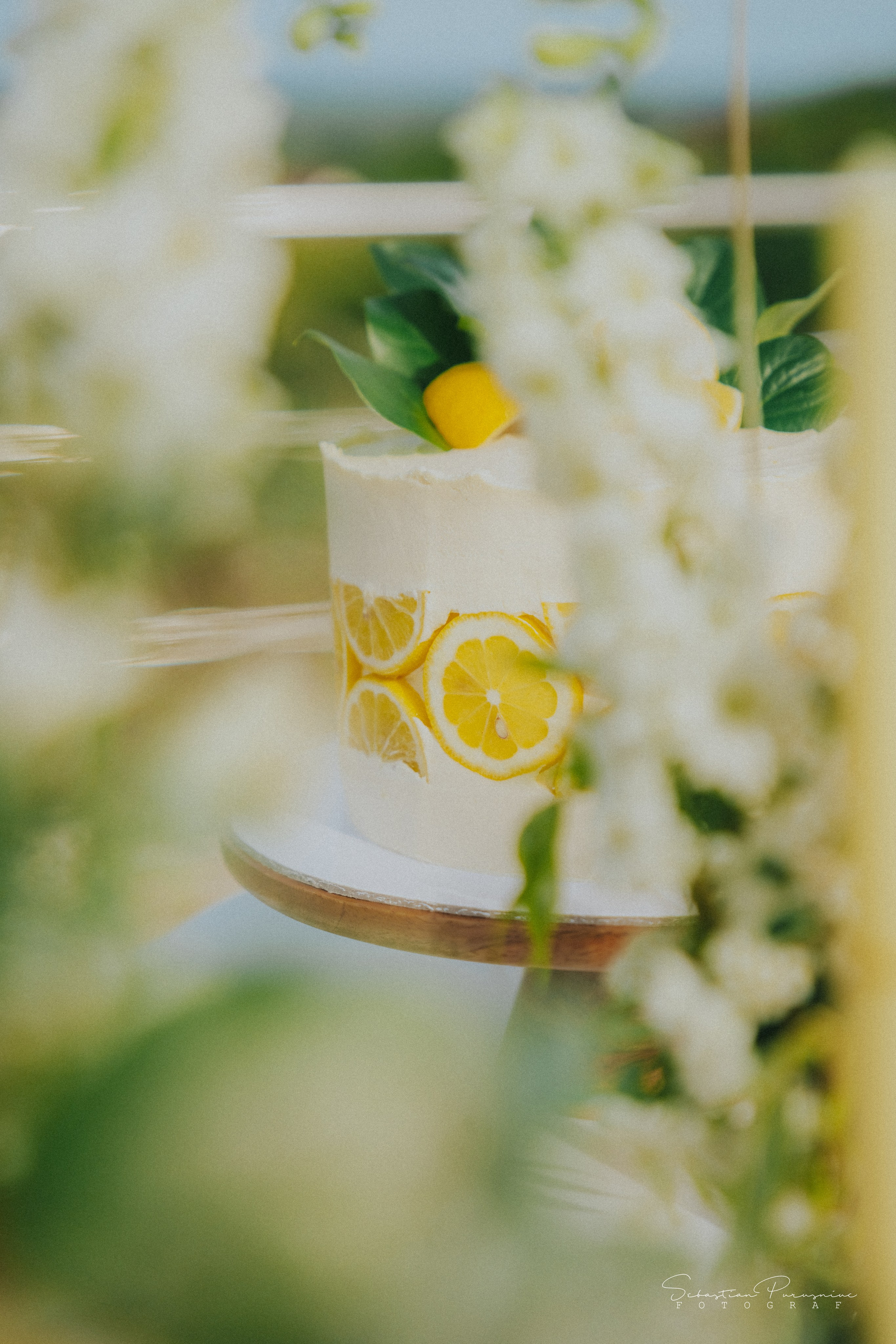 Love & Lemons. Sebastian Purusniuc Fotograf - Iasi